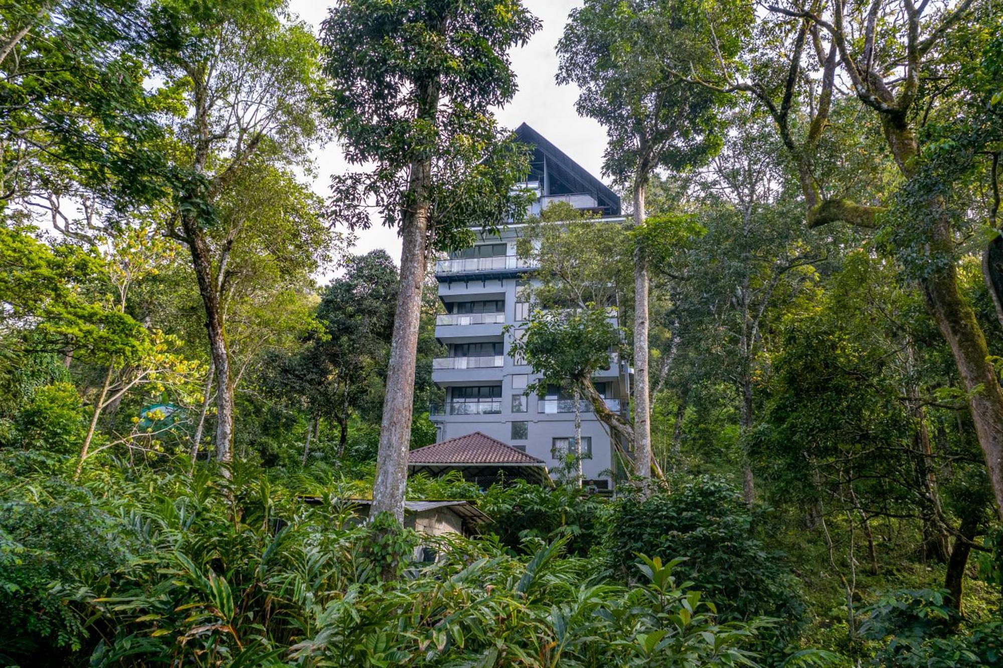 K Mansion * Munnar