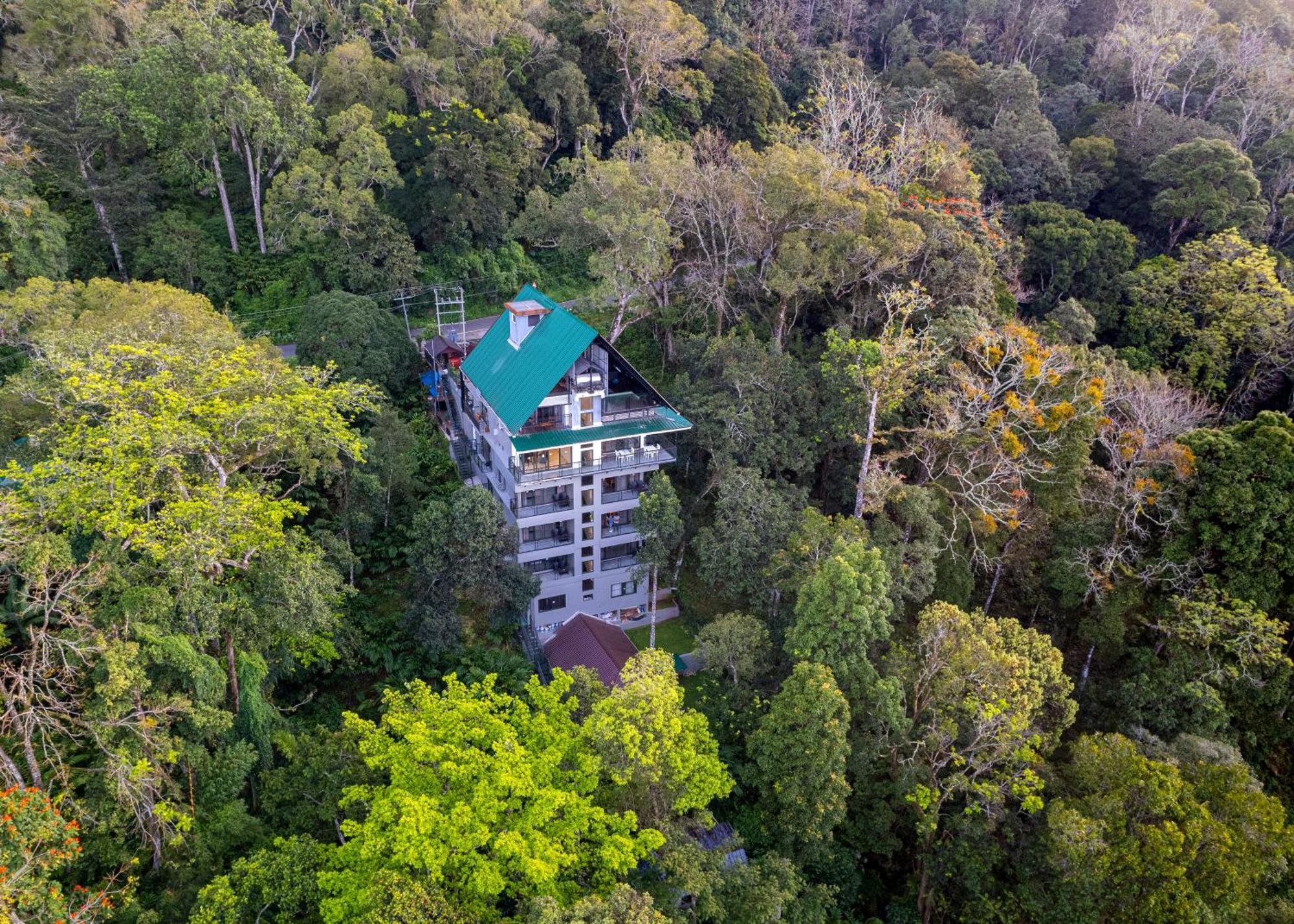 Homestay K Mansion *