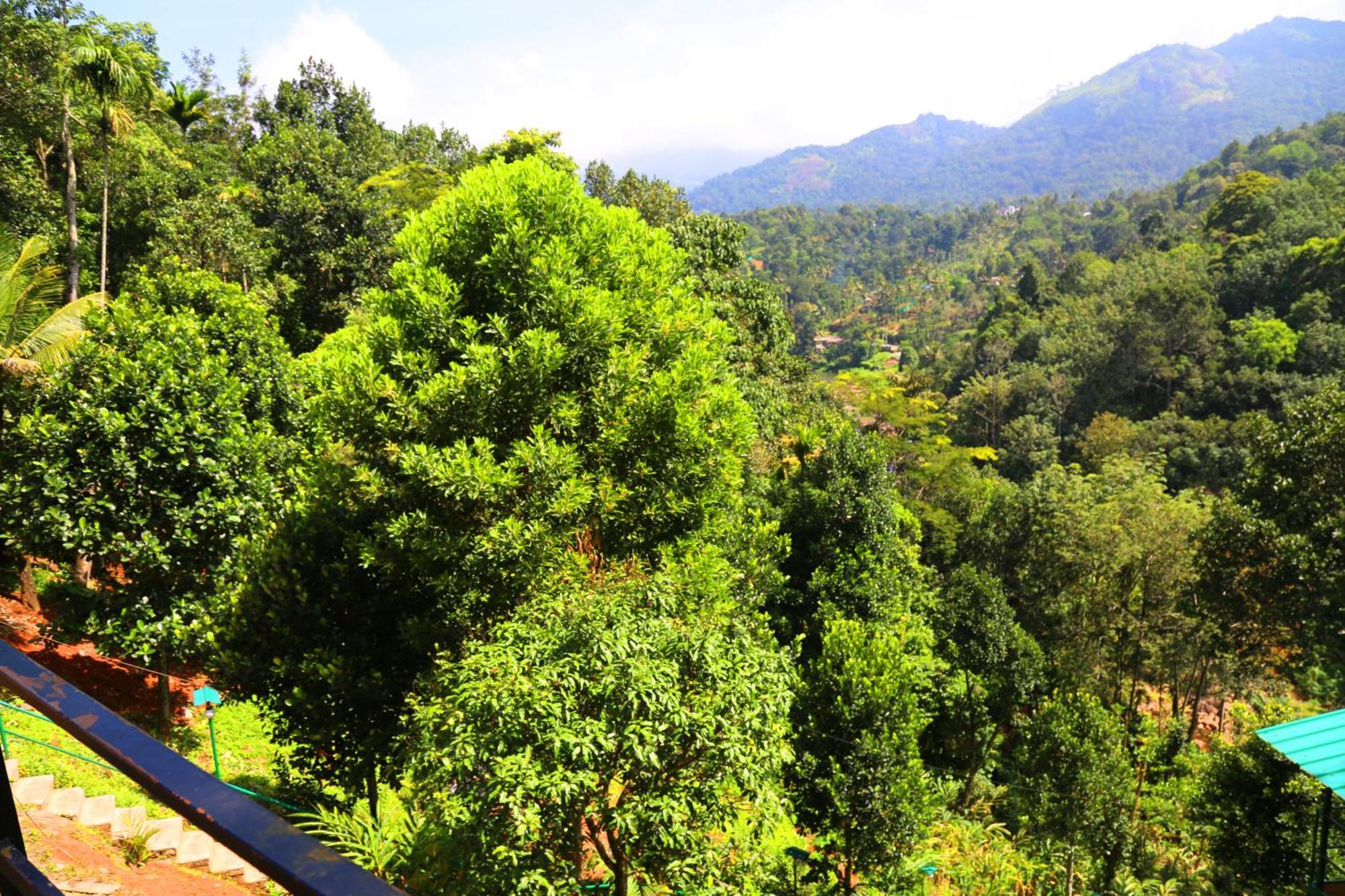 Resort Magic Riverside Munnar