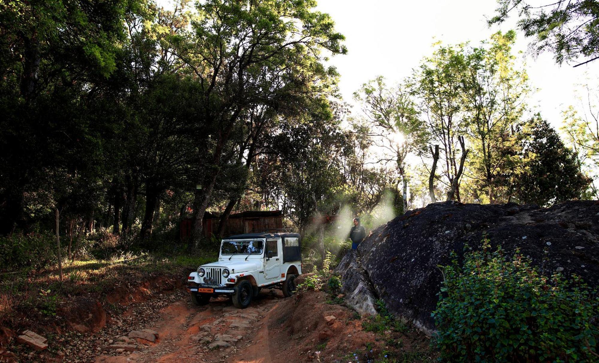 Nature Zone Jungle 4* Munnar