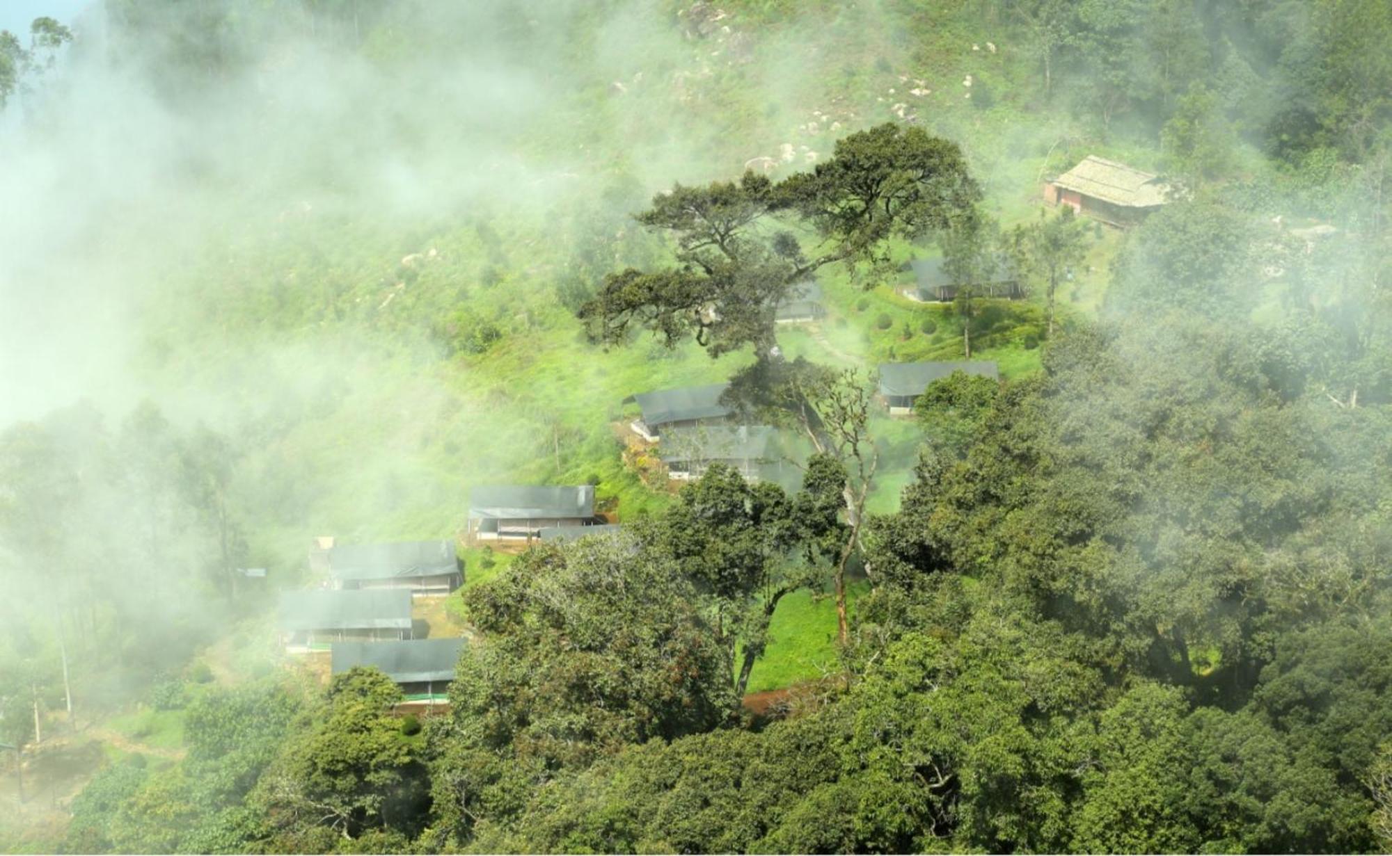 Nature Zone Jungle 4* Munnar