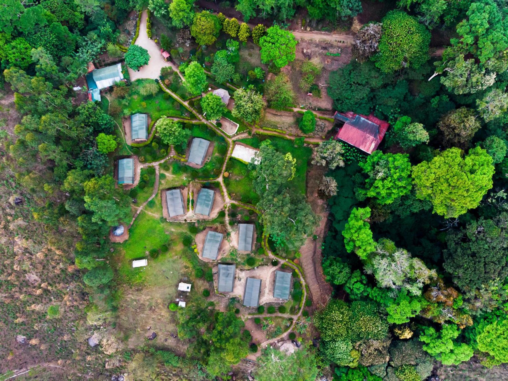 Resort Nature Zone Jungle