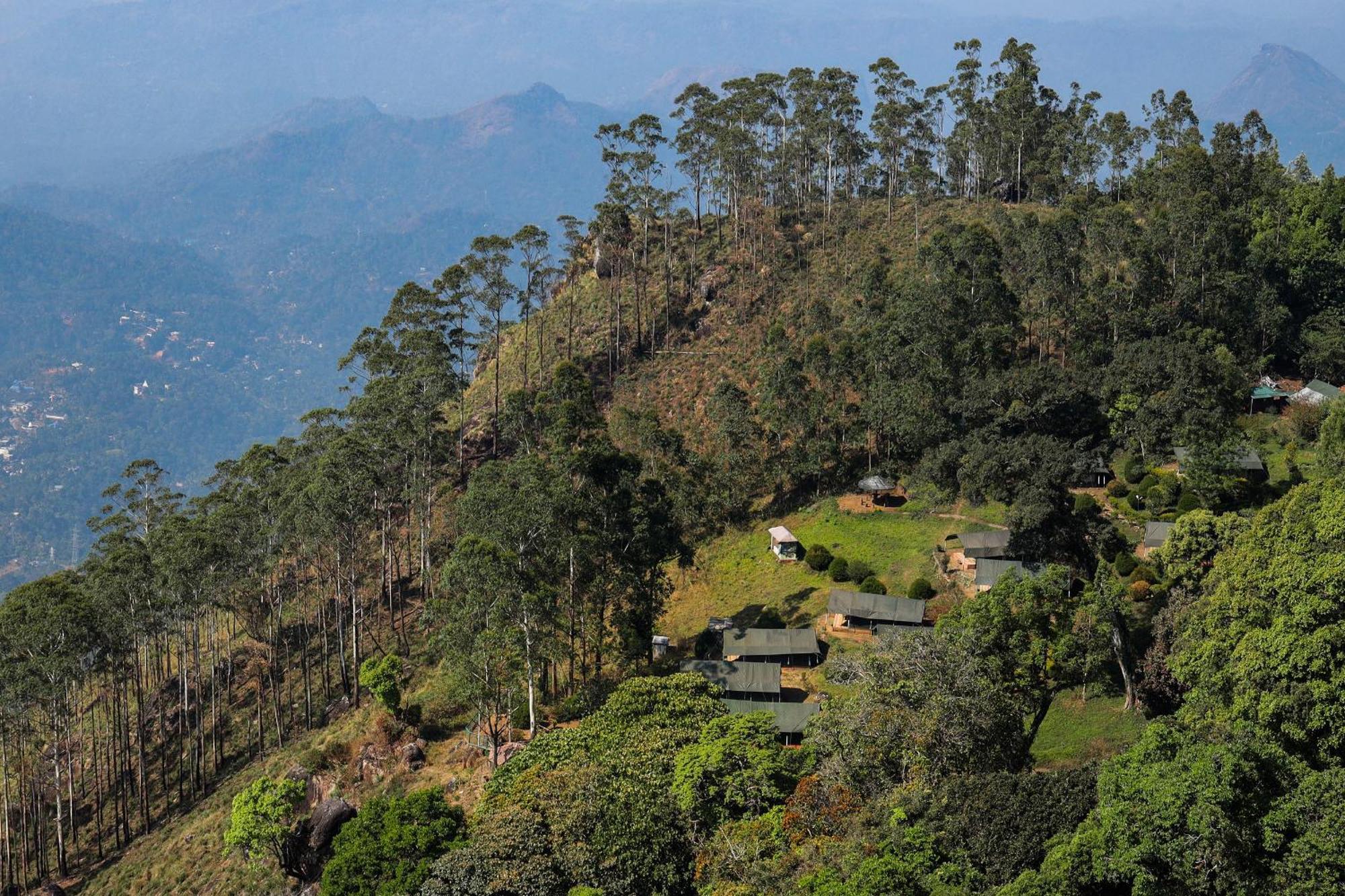 Nature Zone Jungle Resort Munnar