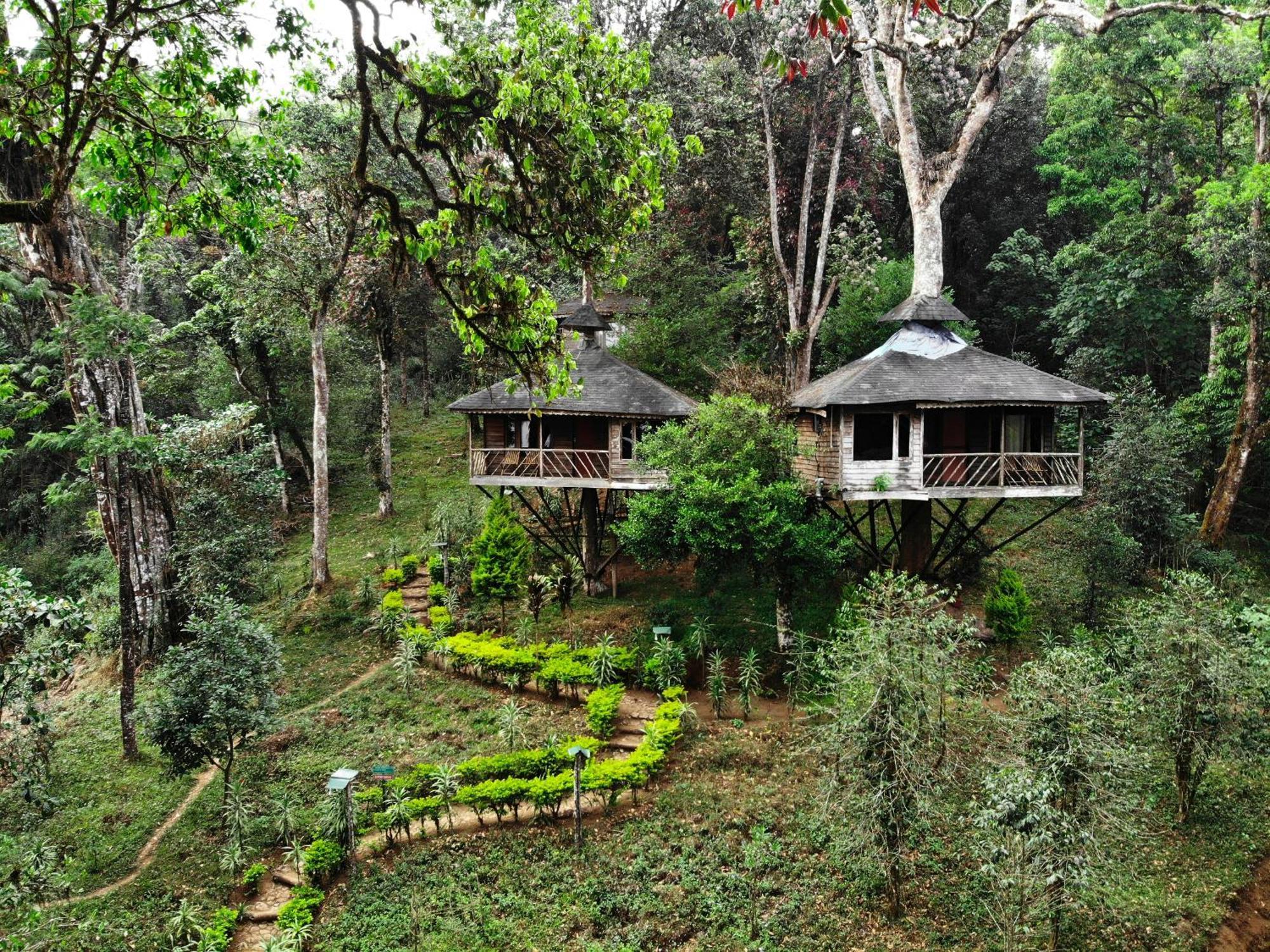Resort Nature Zone Jungle