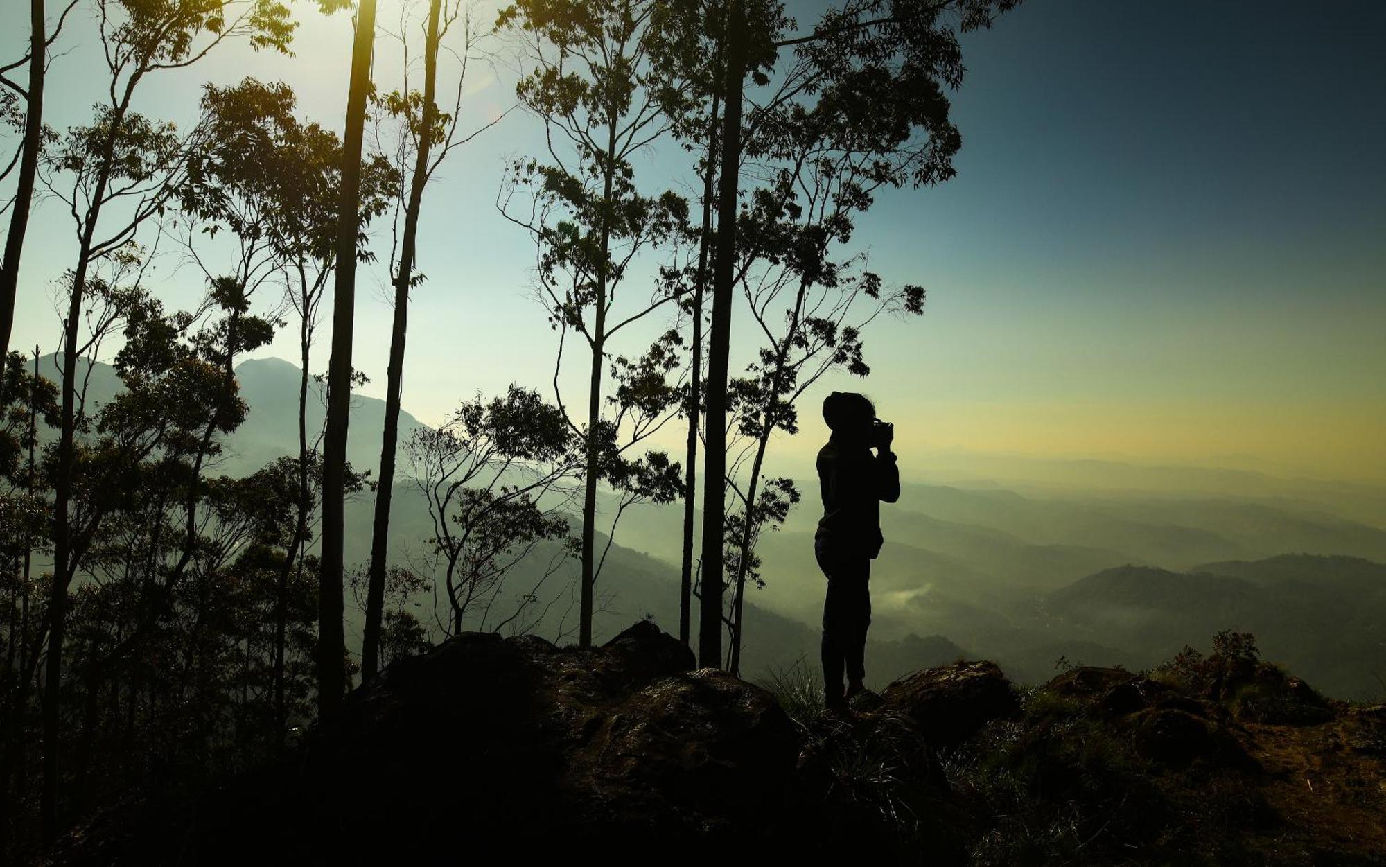 Nature Zone Jungle Resort Munnar