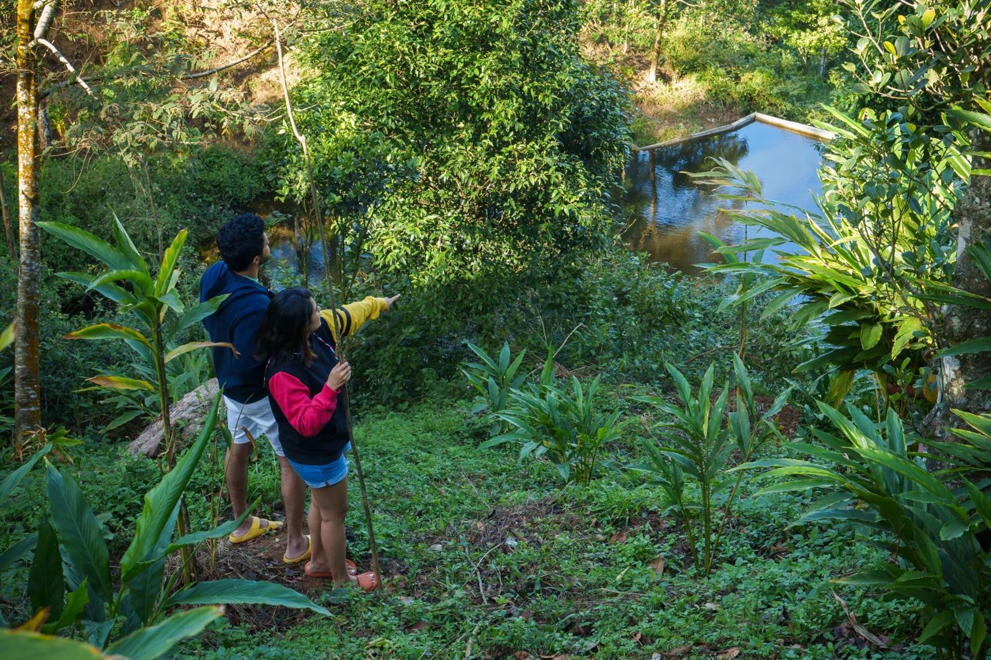 31st December Farms And Estates Farm stay Munnar