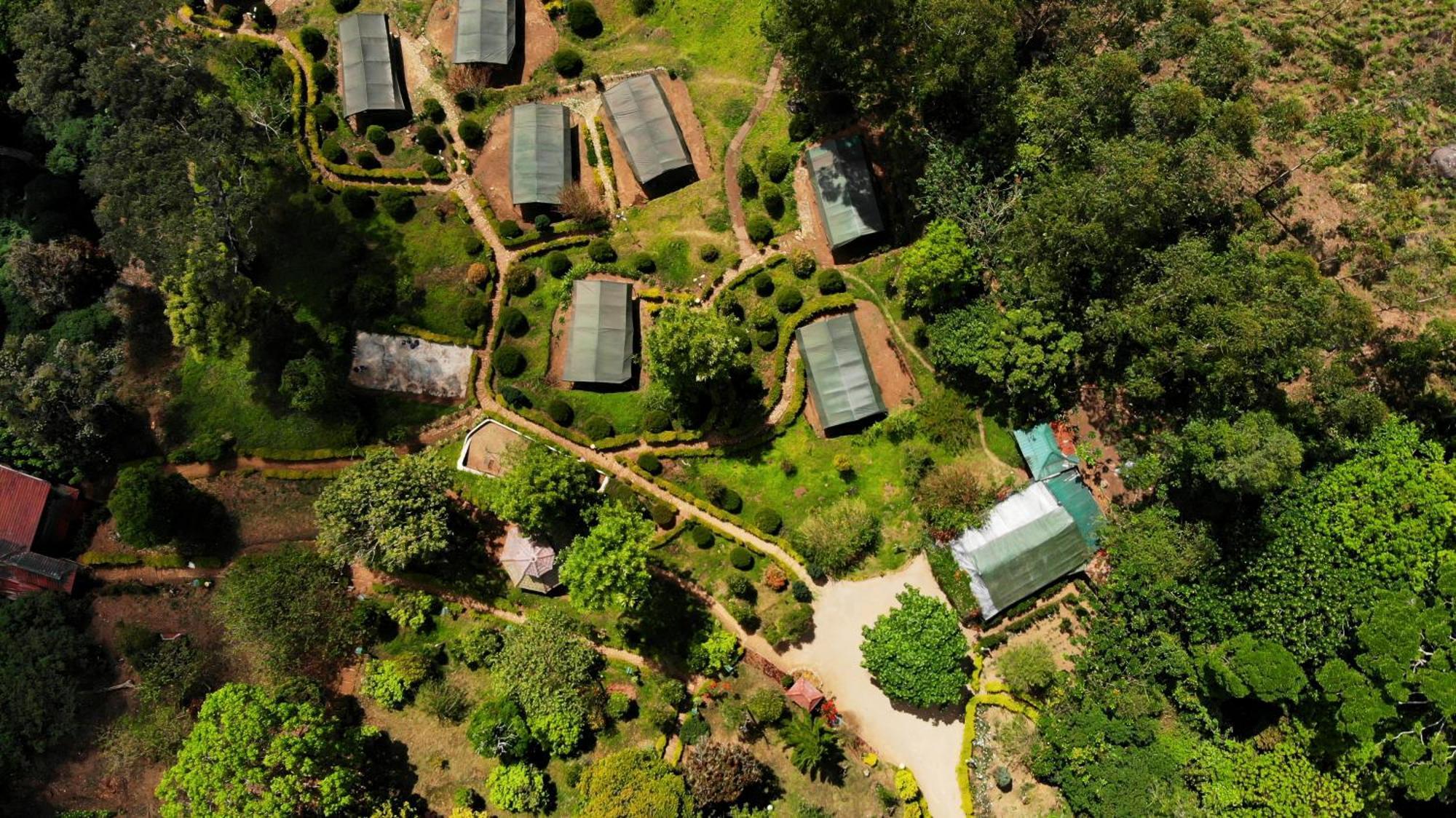 Nature Zone Jungle 4* Munnar