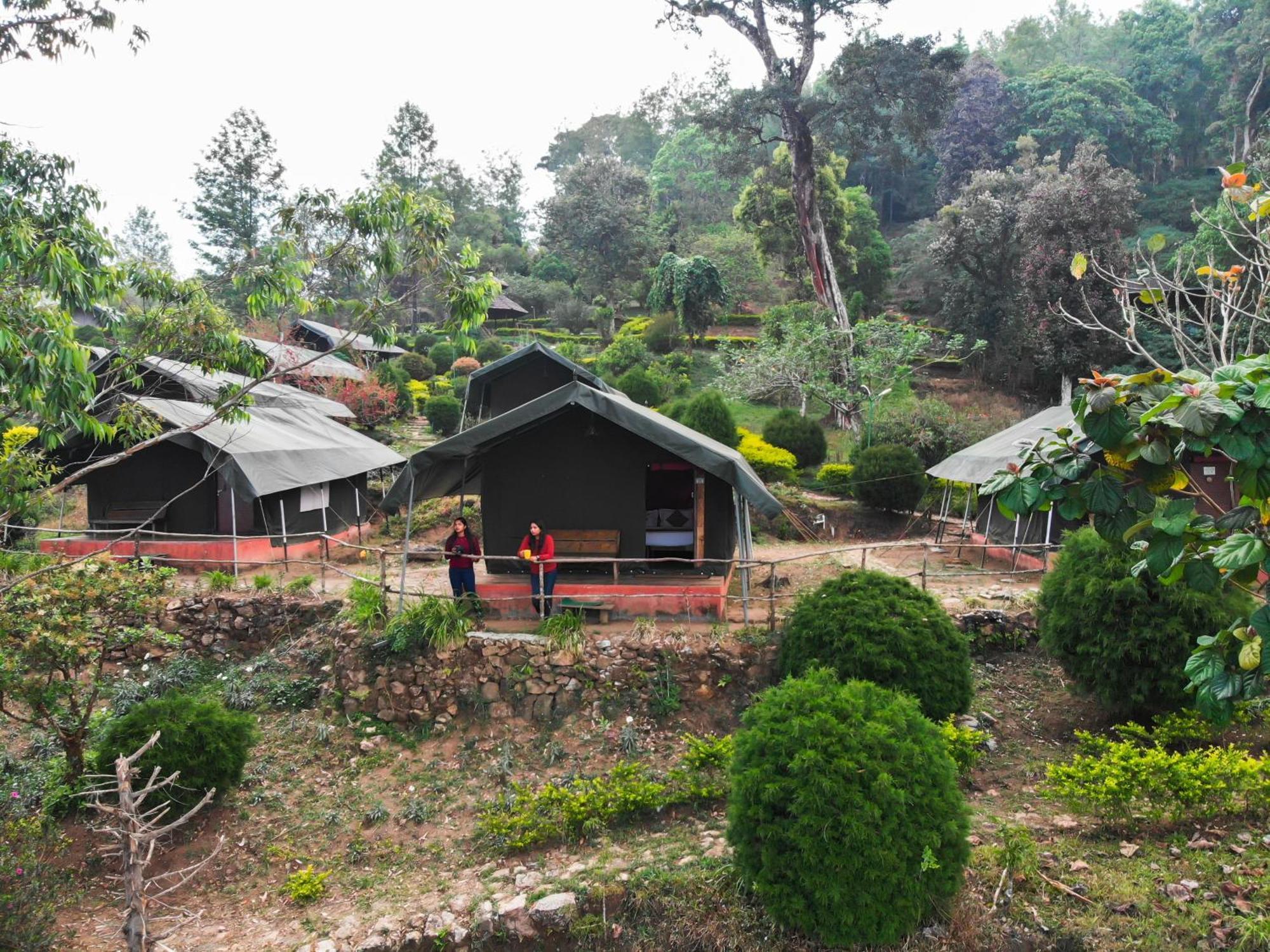 Resort Nature Zone Jungle