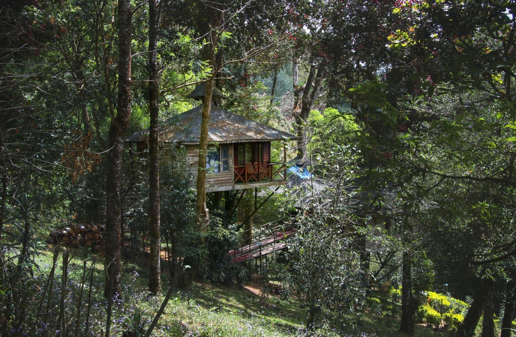 Nature Zone Jungle Munnar
