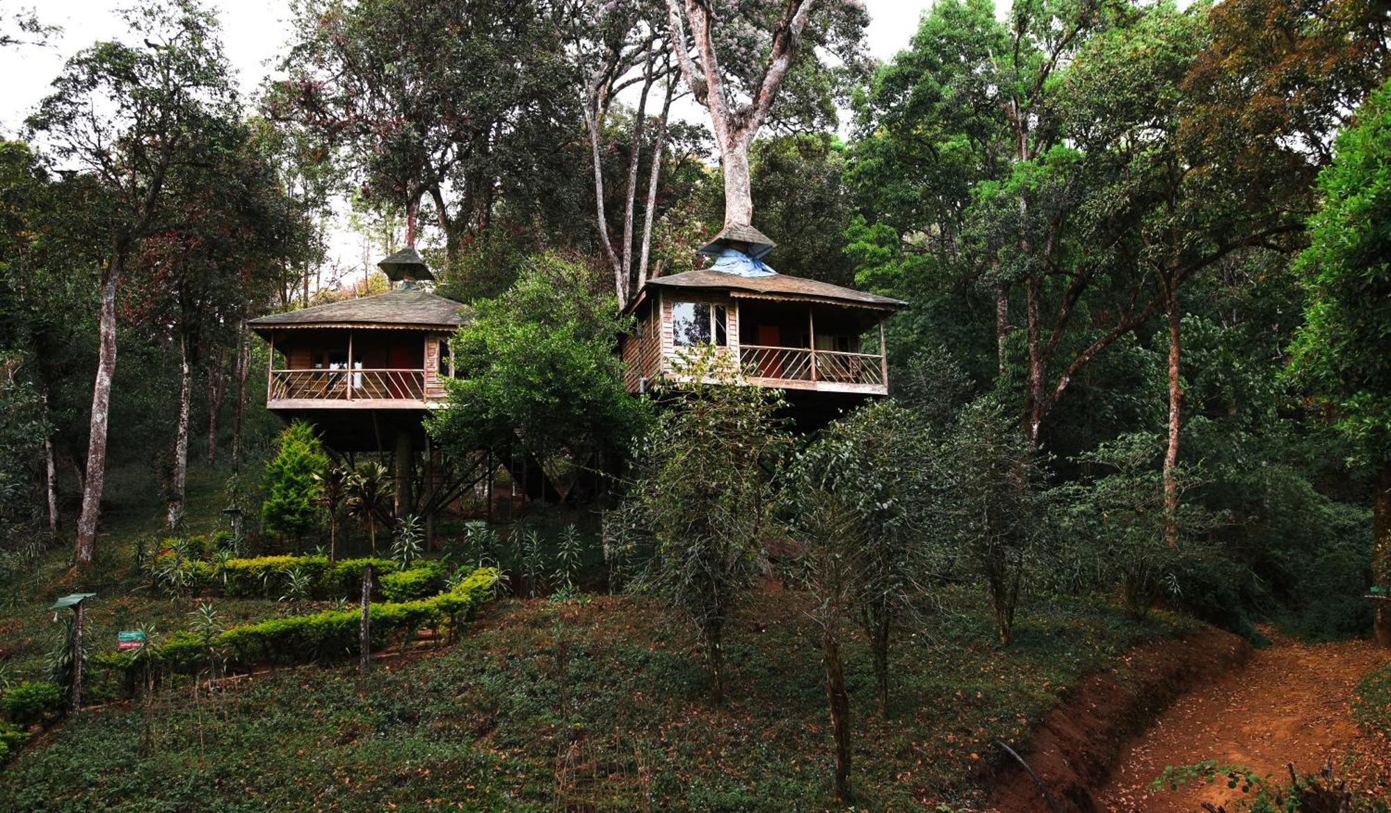 Nature Zone Jungle Munnar
