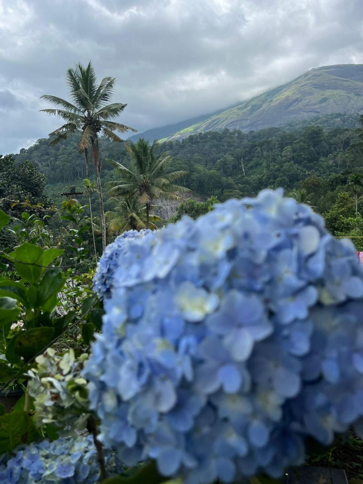 Nature Family Munnar