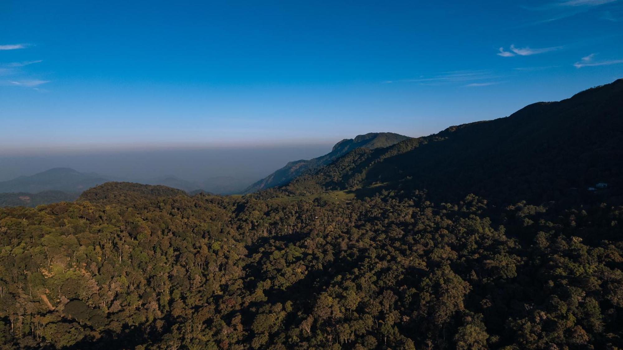 Elixir Woods Luxury And Spa, Munnar
