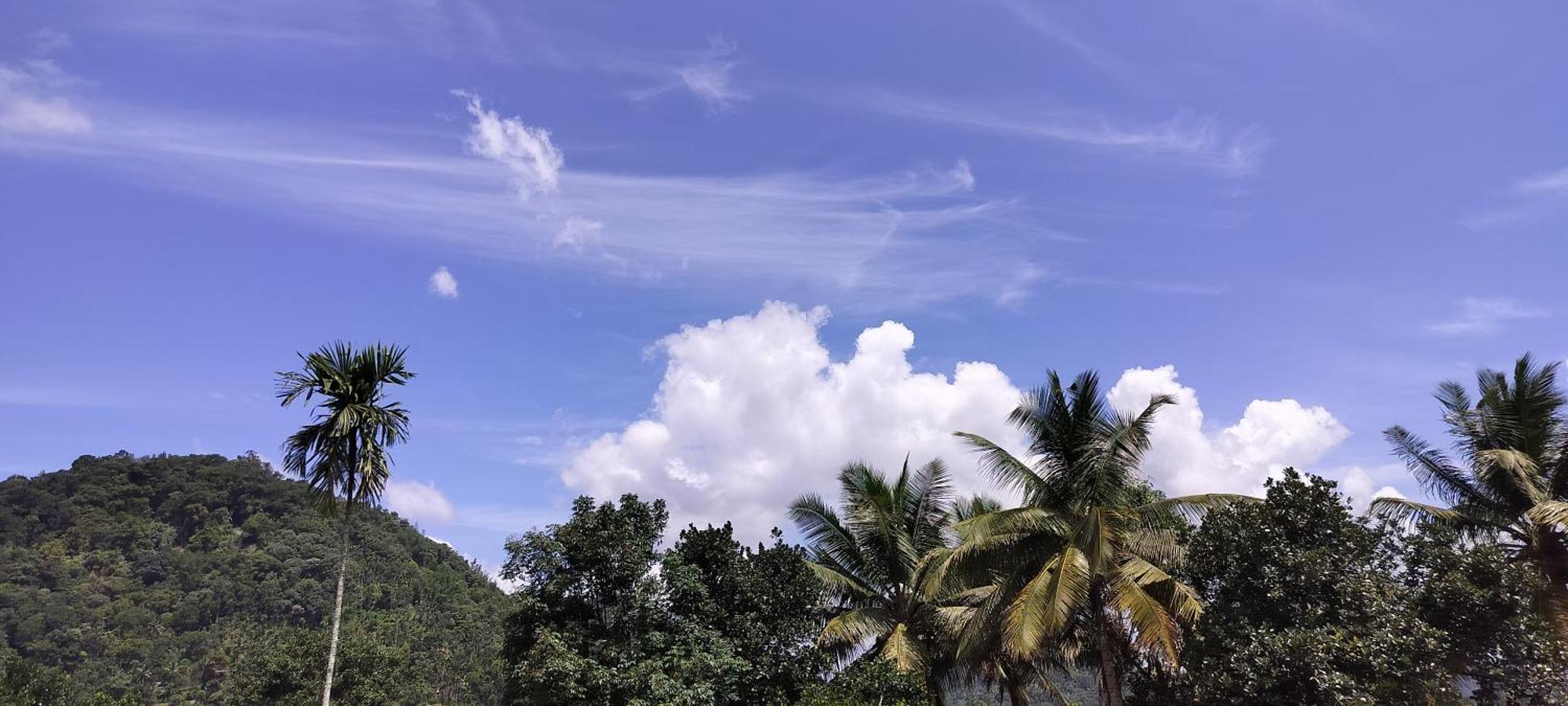 Himadri Holidays * Munnar