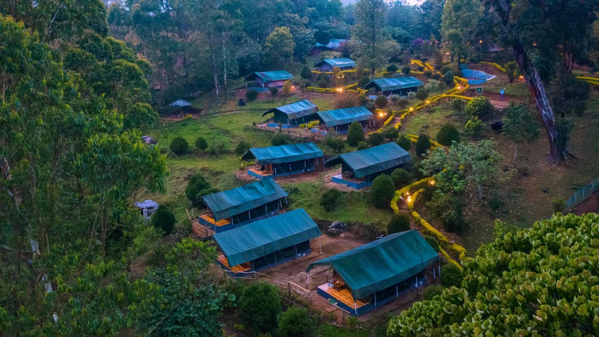 Nature Zone Jungle 4*