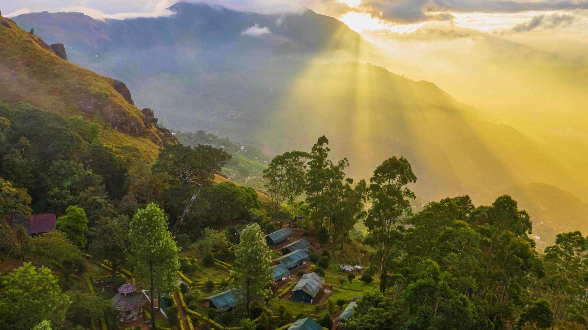 Nature Zone Jungle Munnar