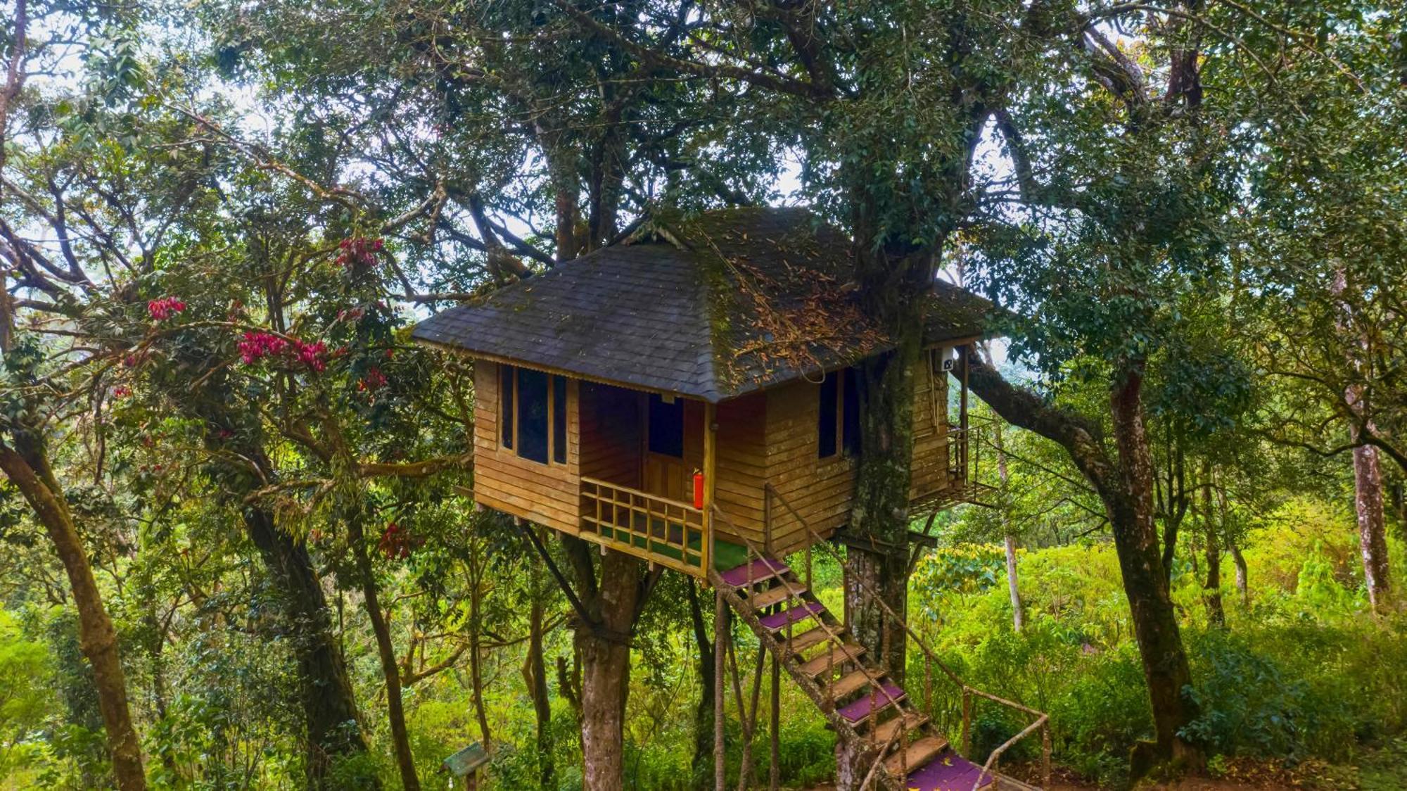 Resort Nature Zone Jungle 4*