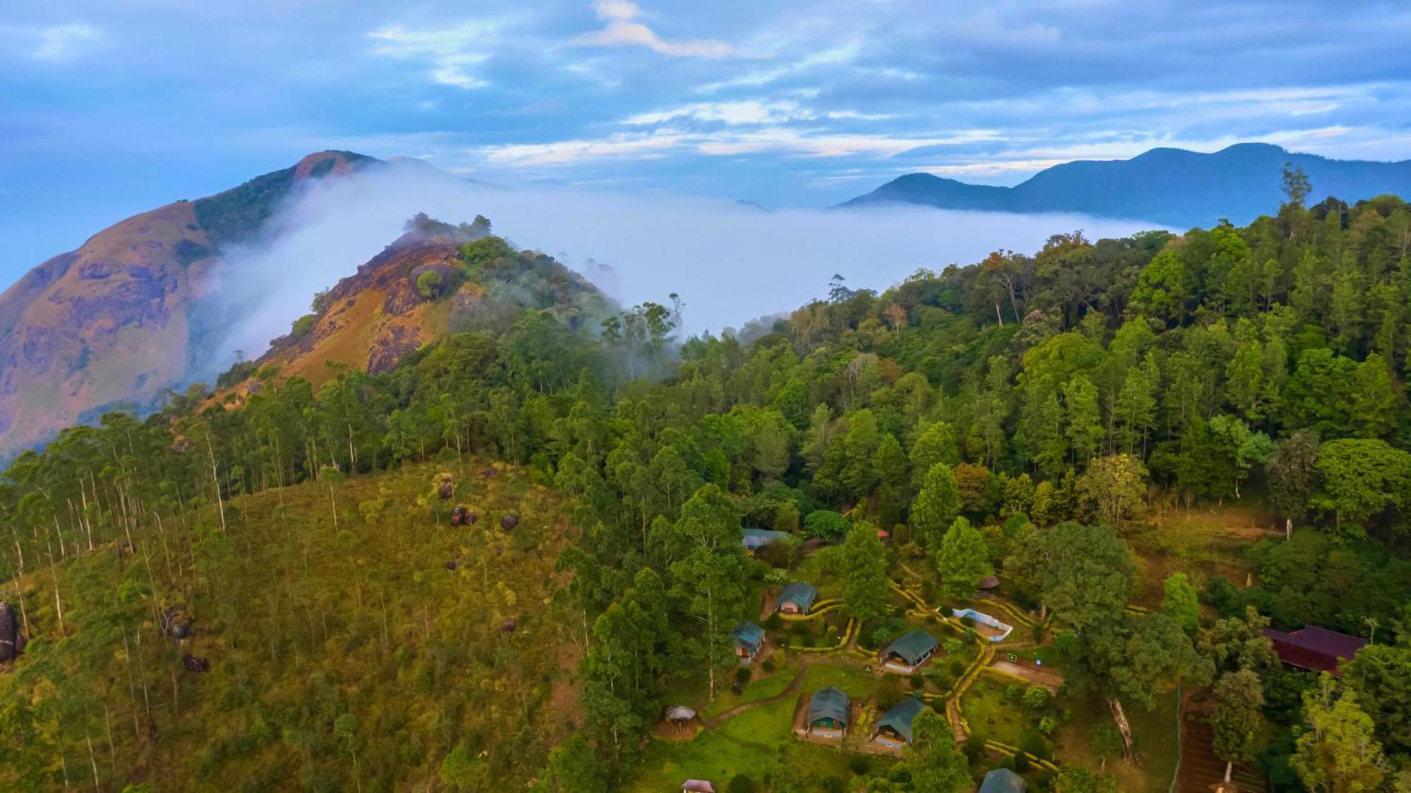 Nature Zone Jungle 4* Munnar