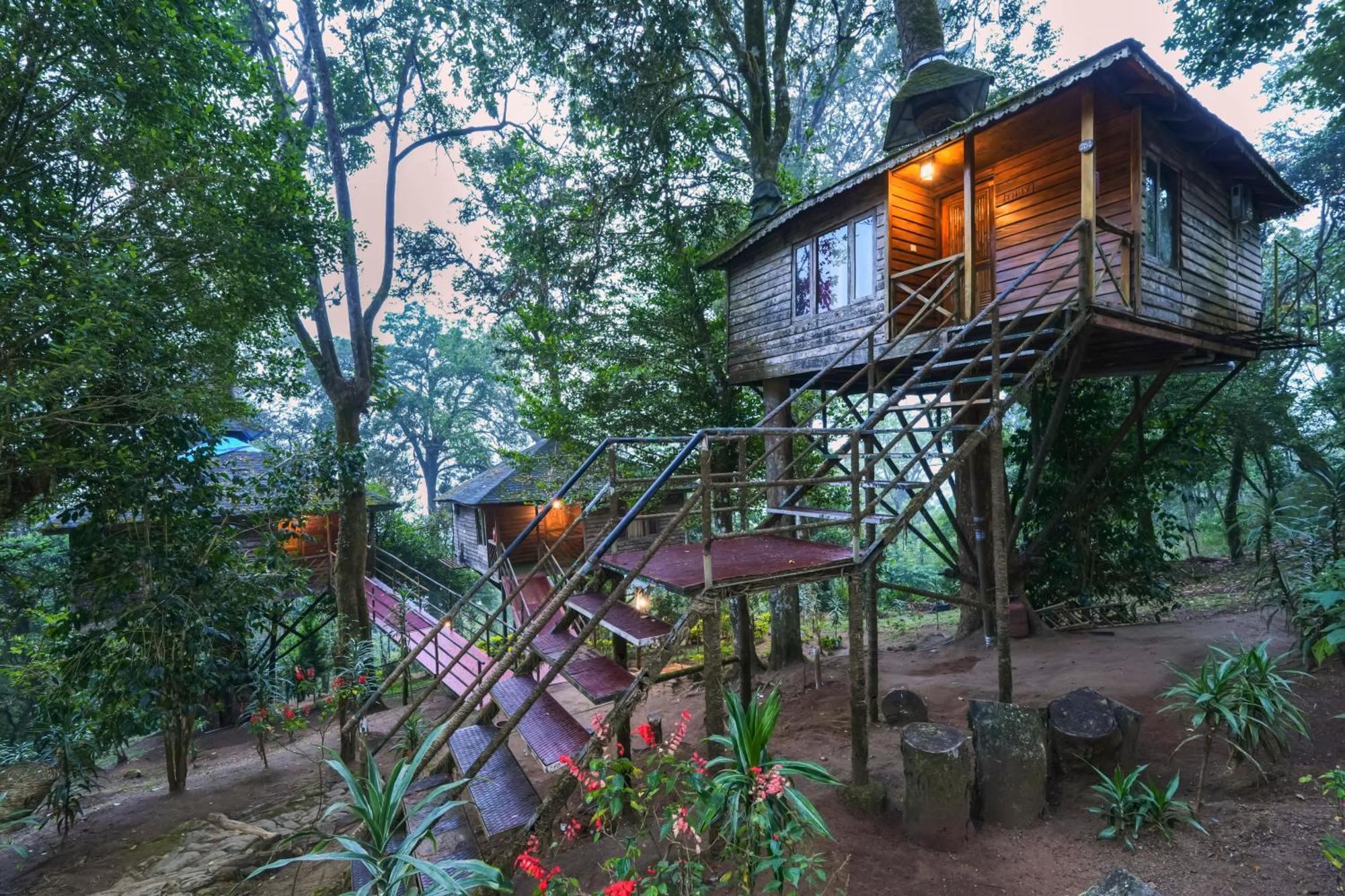 Nature Zone Jungle