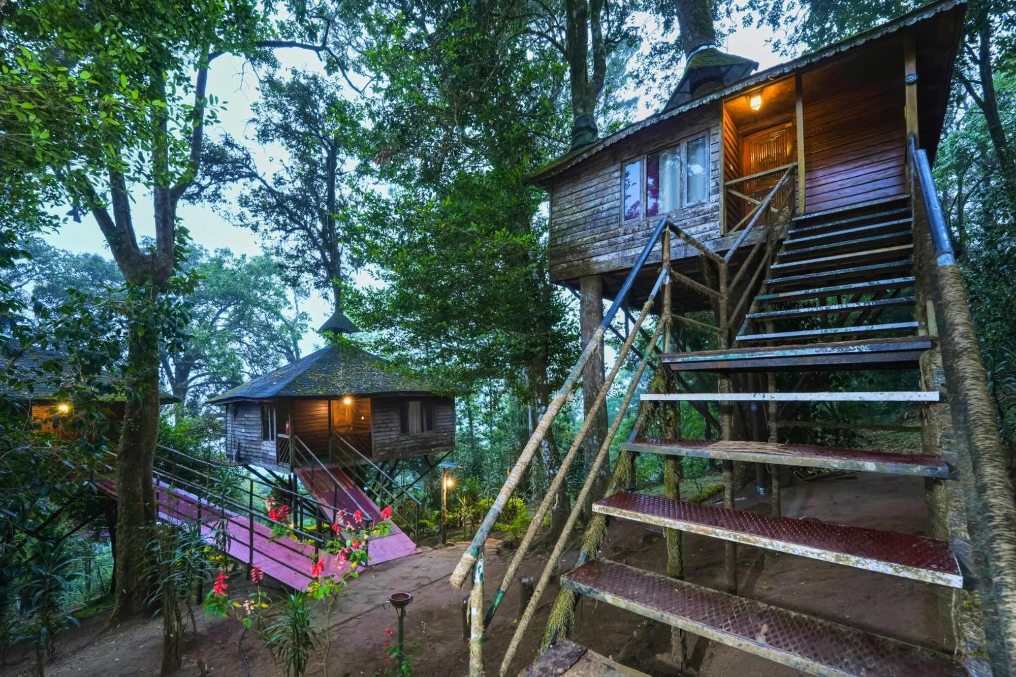 Resort Nature Zone Jungle