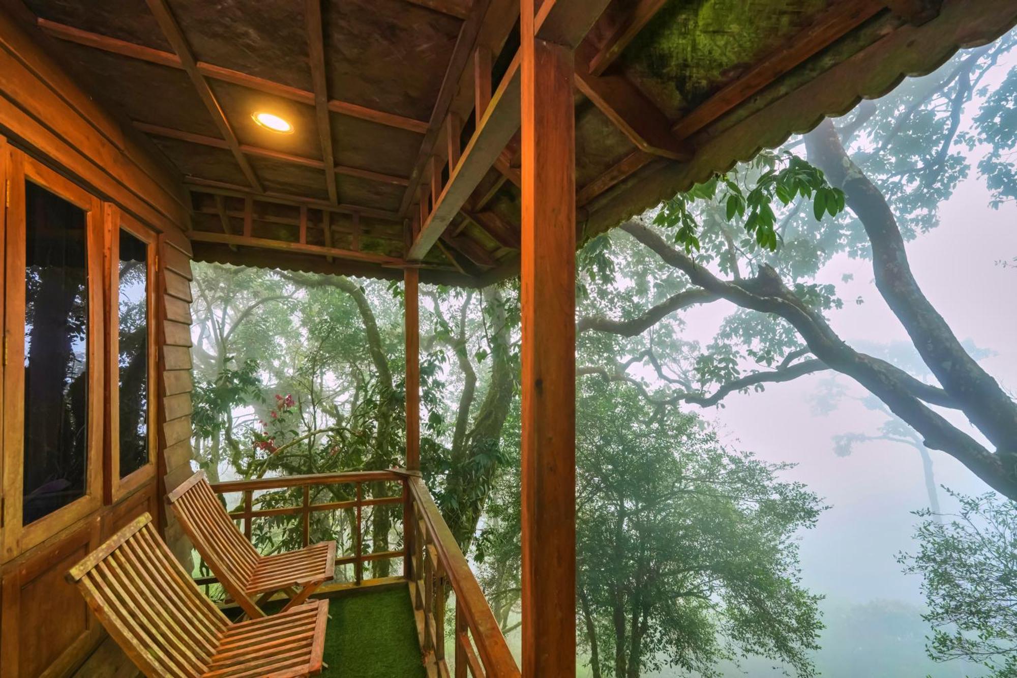 Nature Zone Jungle 4*