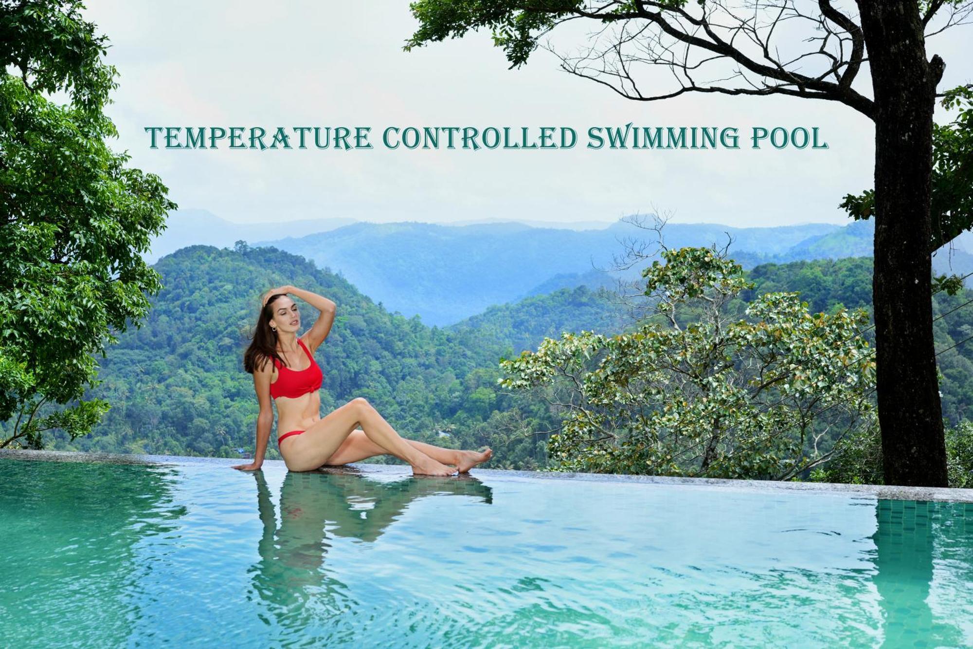 Hotel Elephant Passage Munnar