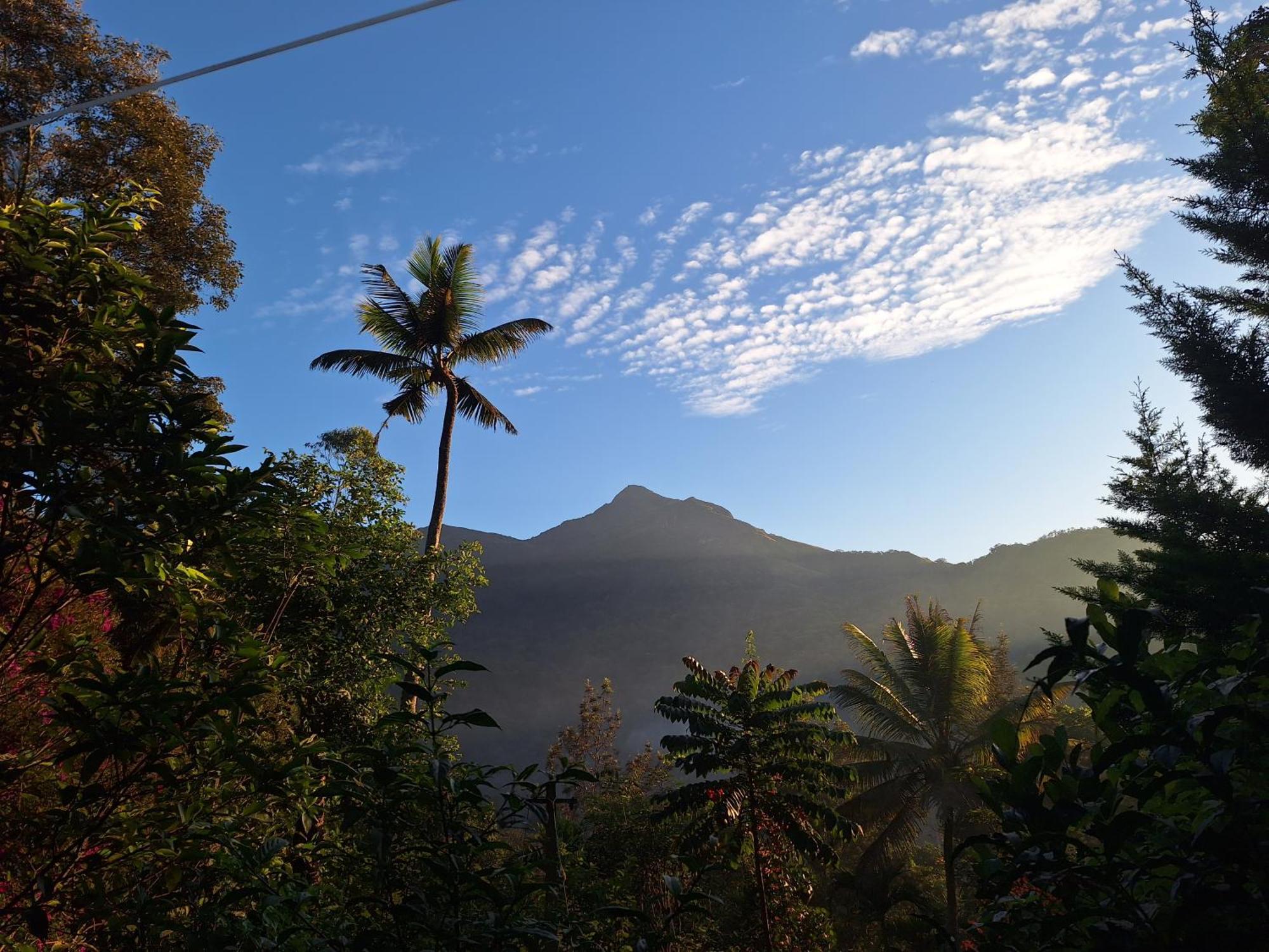 Pepper County Farm * Munnar