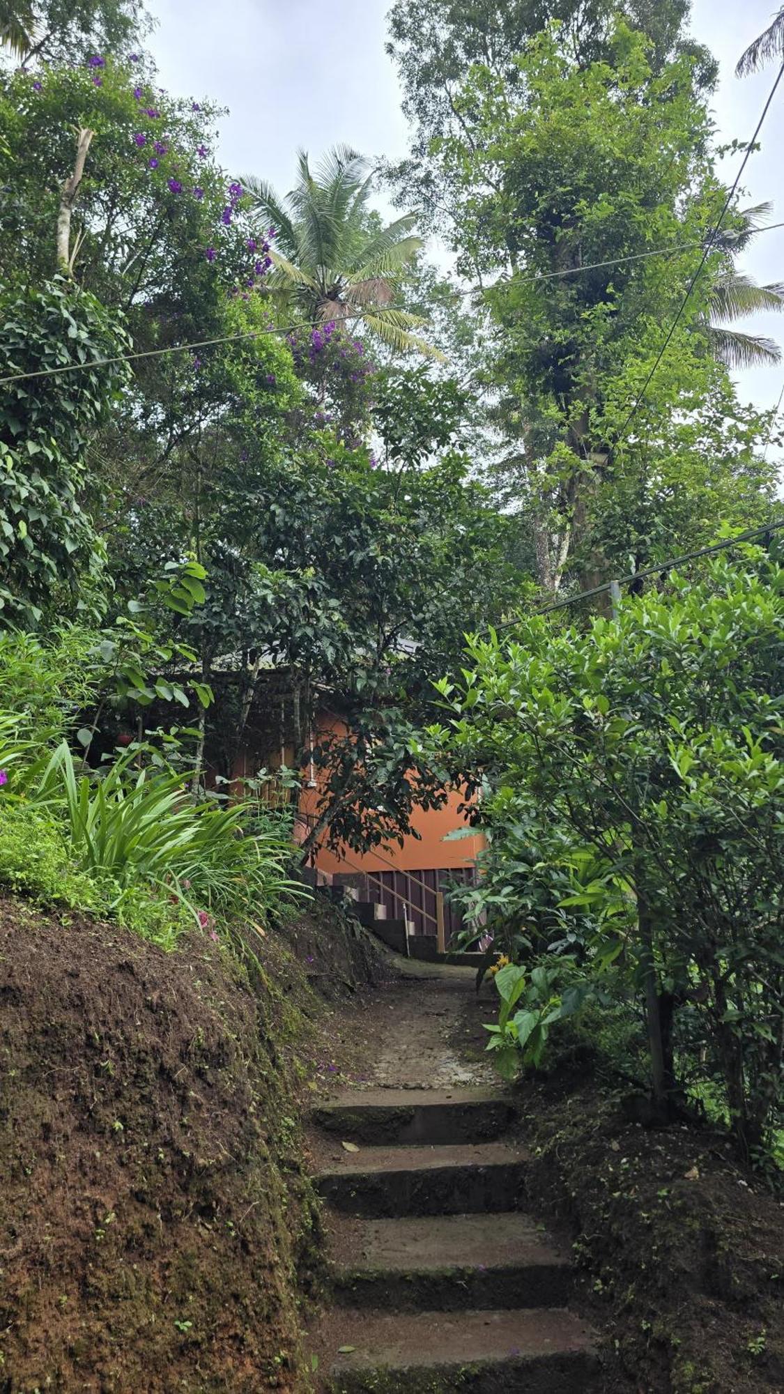 Farm stay Pepper County Farm Munnar