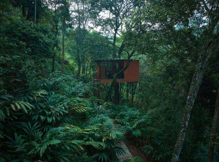 Eterno Camellia & Elettaria With Pool 4* Munnar
