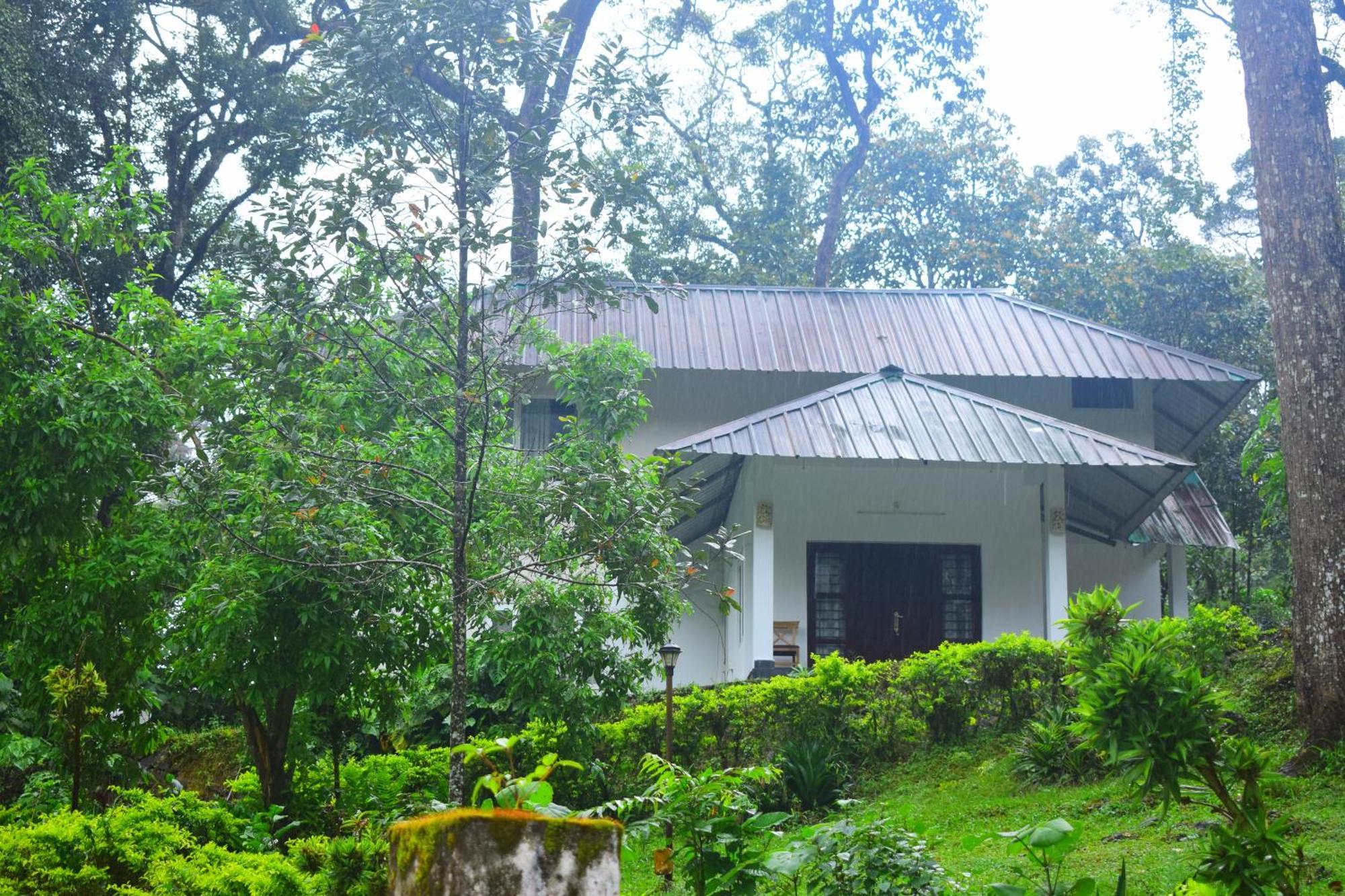 Elixir Woods Luxury And Spa,
