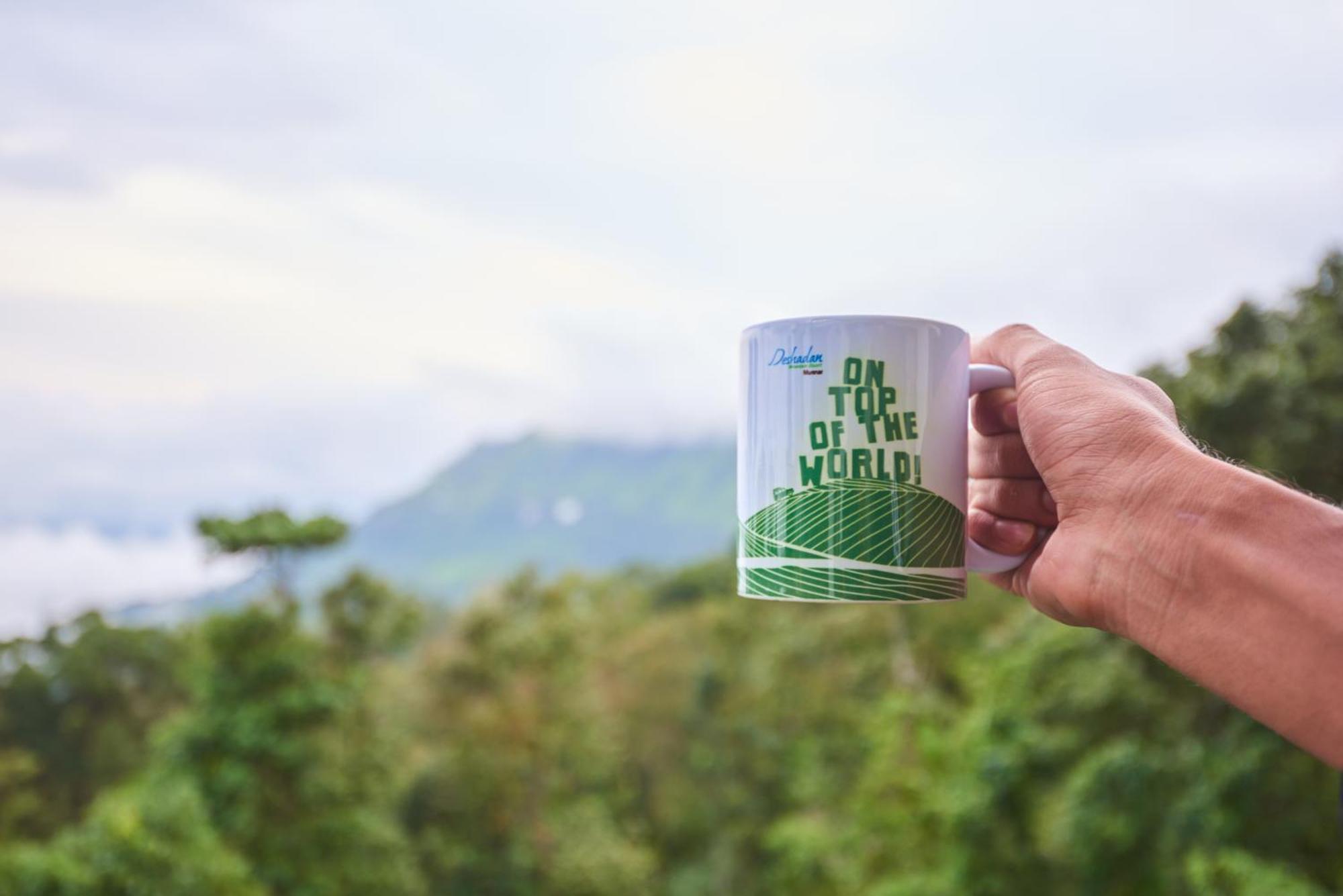 Deshadan Mountain -the Highest In Resort Munnar