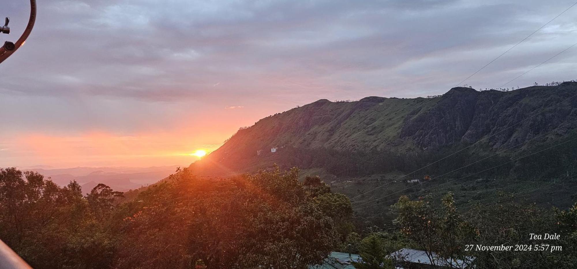 Tea Dale - With Tea Estate View