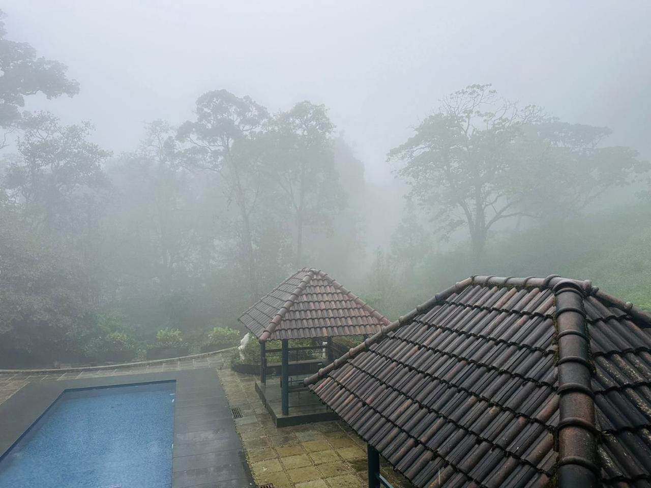 Elixir Woods Luxury And Spa, Resort Munnar