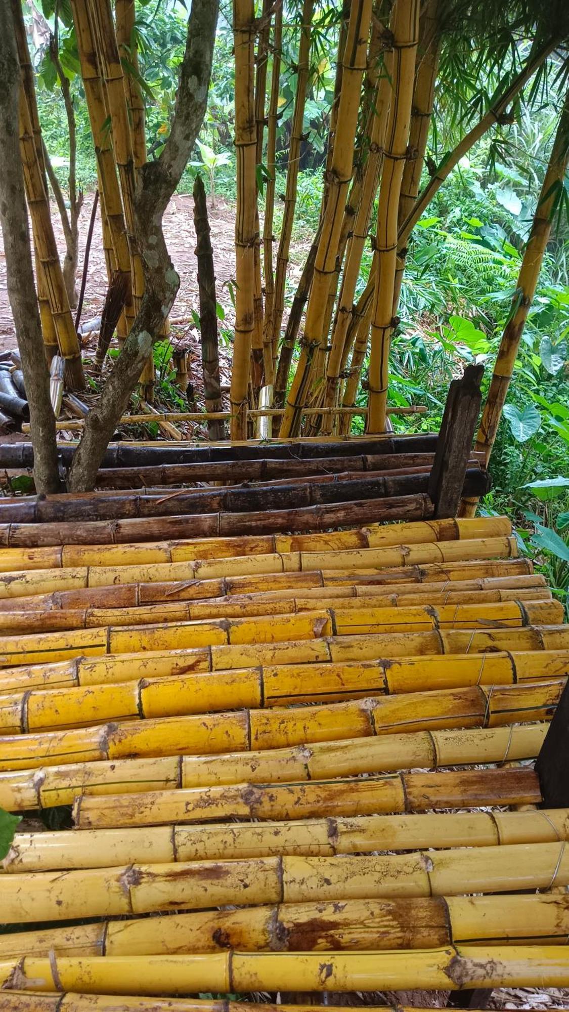 The Wayside Holiday home Munnar