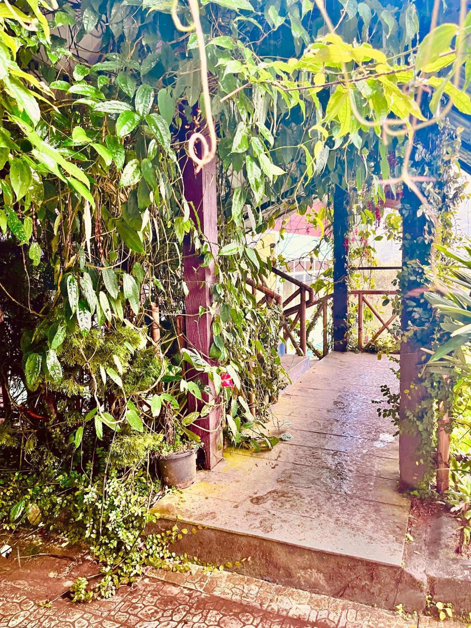 The Raarees Mist Resort, - Nested In Nature's Lap Hotel Munnar