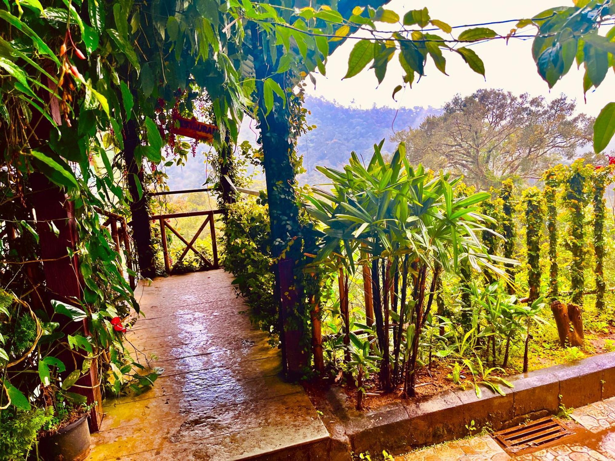 Hotel Tea Estate And - Away From Hustle