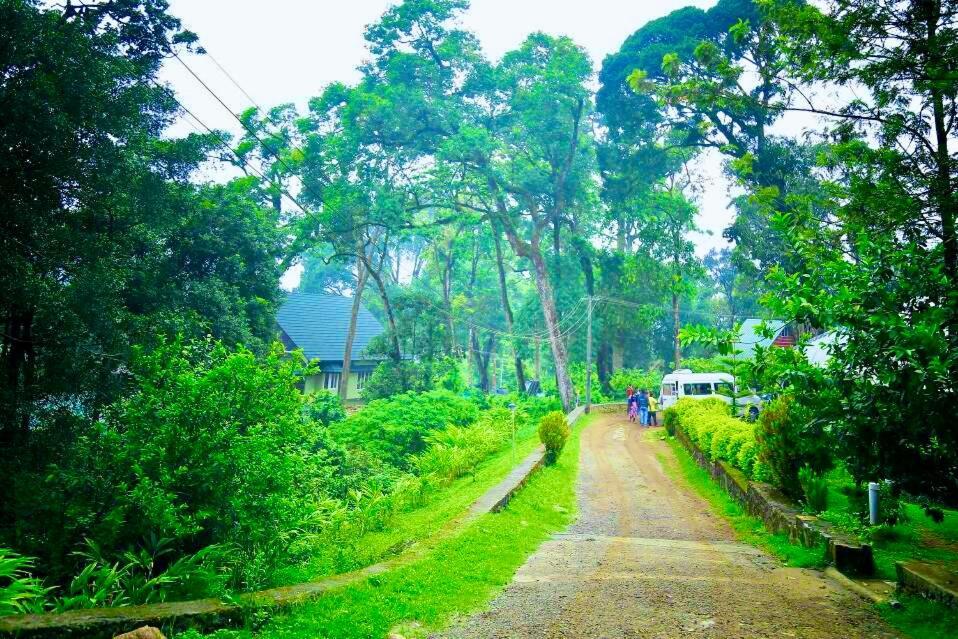 Tea Estate And - Away From Hustle Hotel