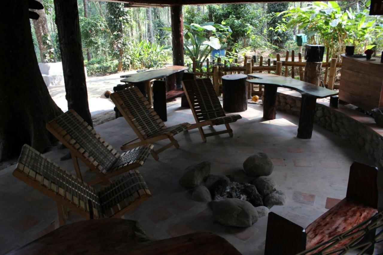 Jungle Jive Treehouse And Farm stay *