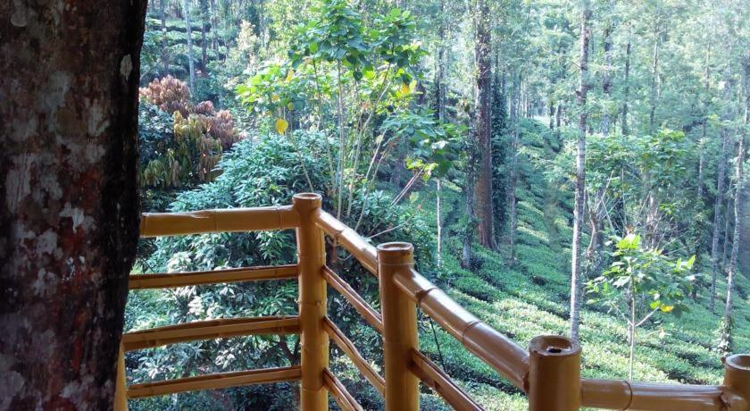 Farm stay Jungle Jive Treehouse And