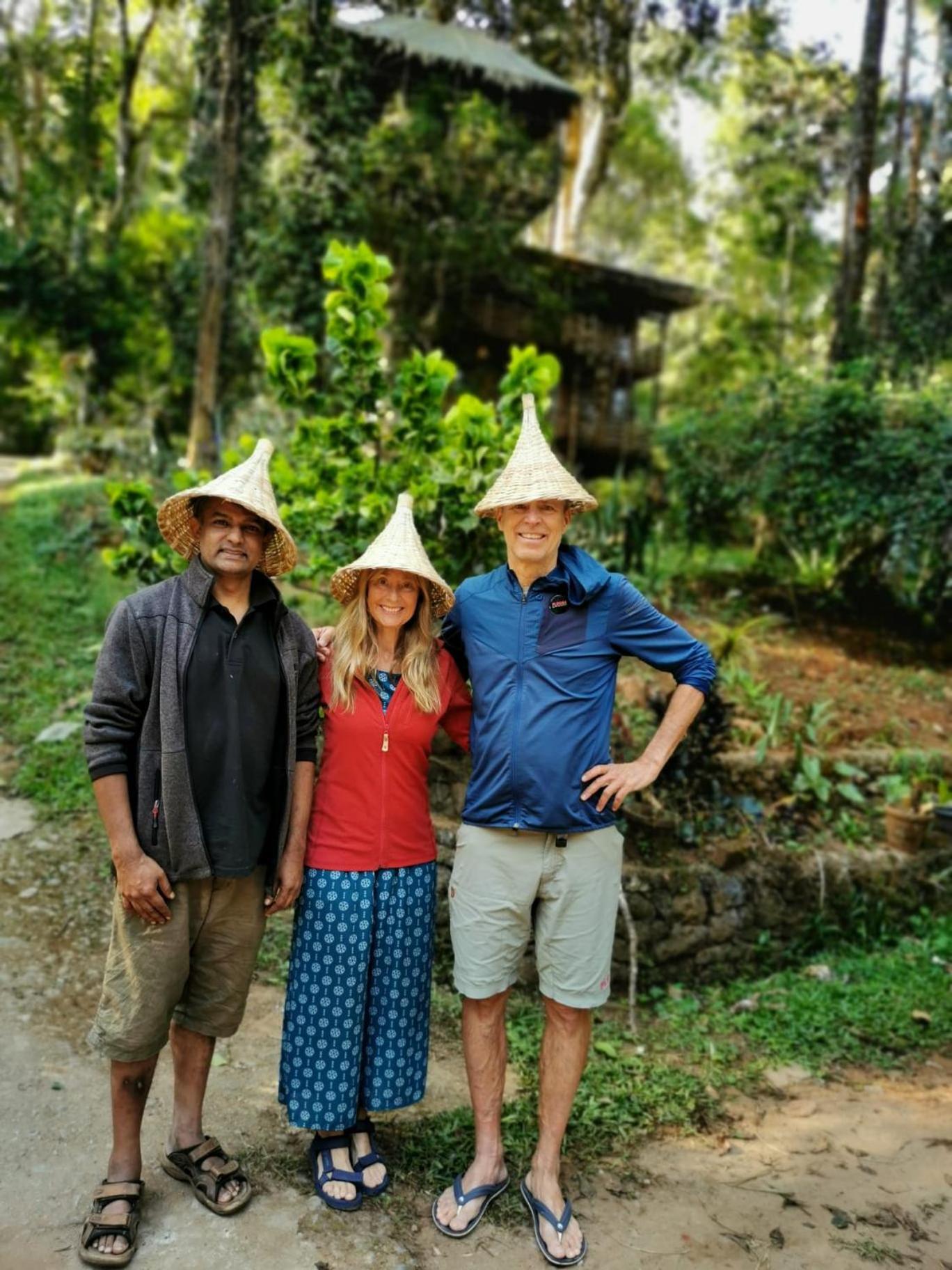 Farm stay Jungle Jive Treehouse And *