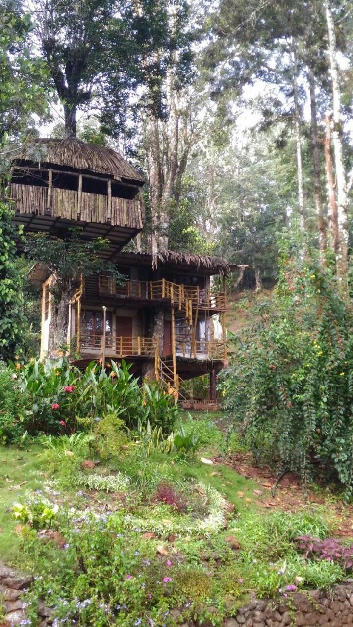 Jungle Jive Treehouse And