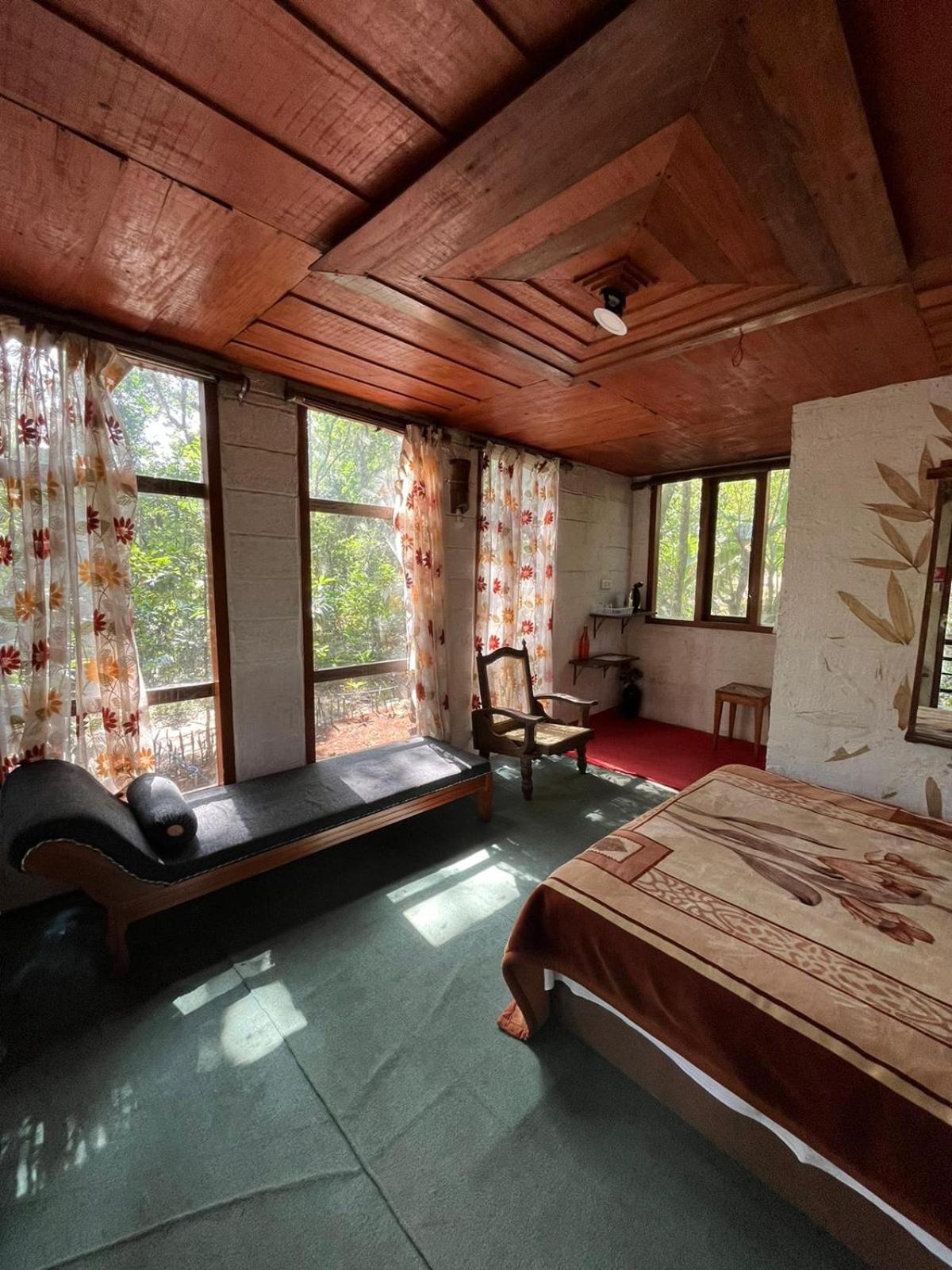 Farm stay Jungle Jive Treehouse And *