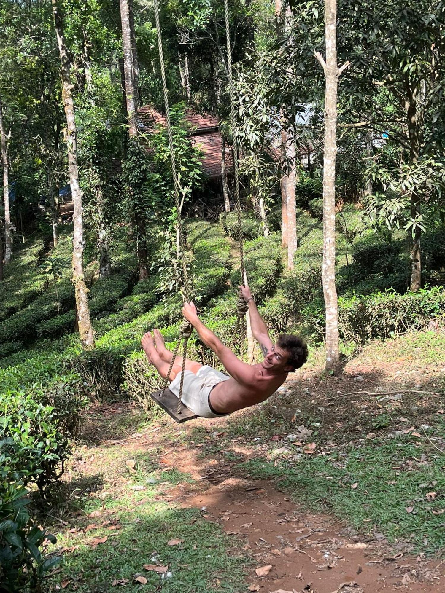 Farm stay Jungle Jive Treehouse And Munnar