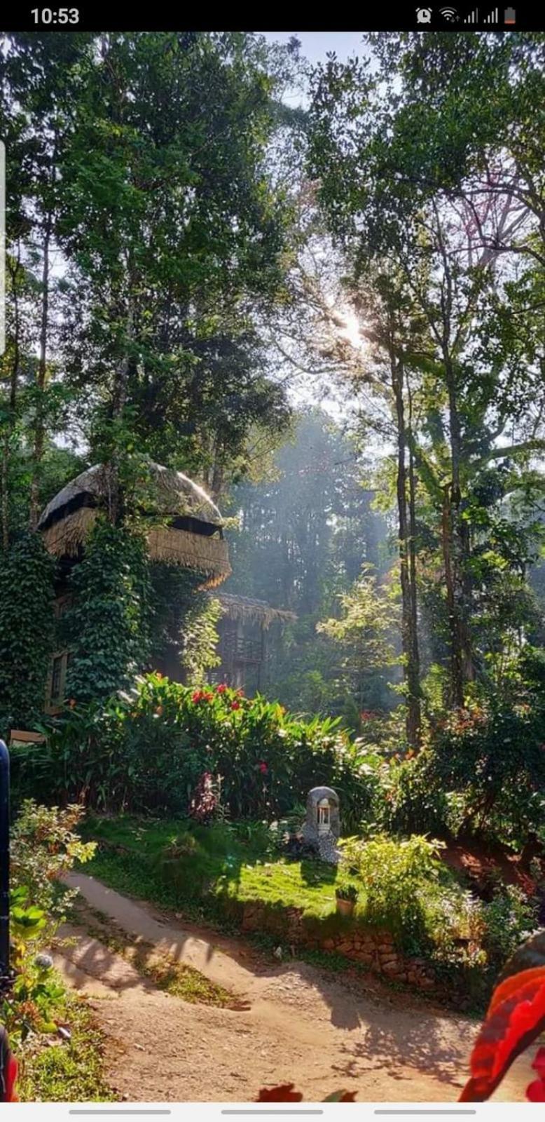 Jungle Jive Treehouse And *