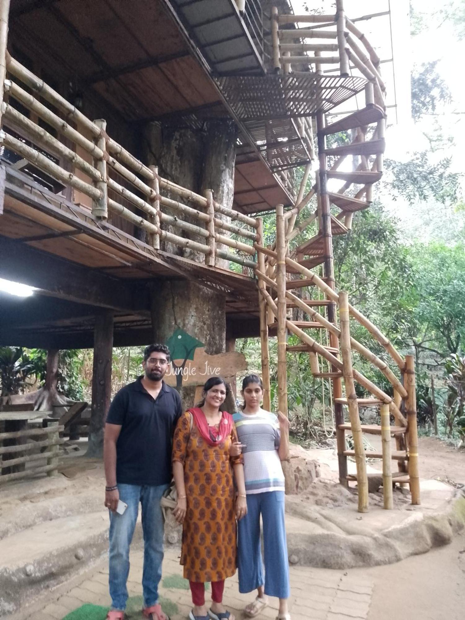 Farm stay Jungle Jive Treehouse And *