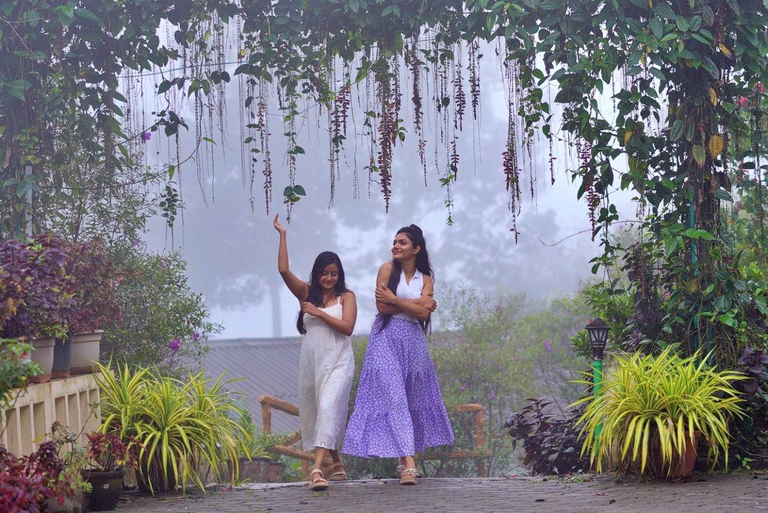 Dew Drops Farm
