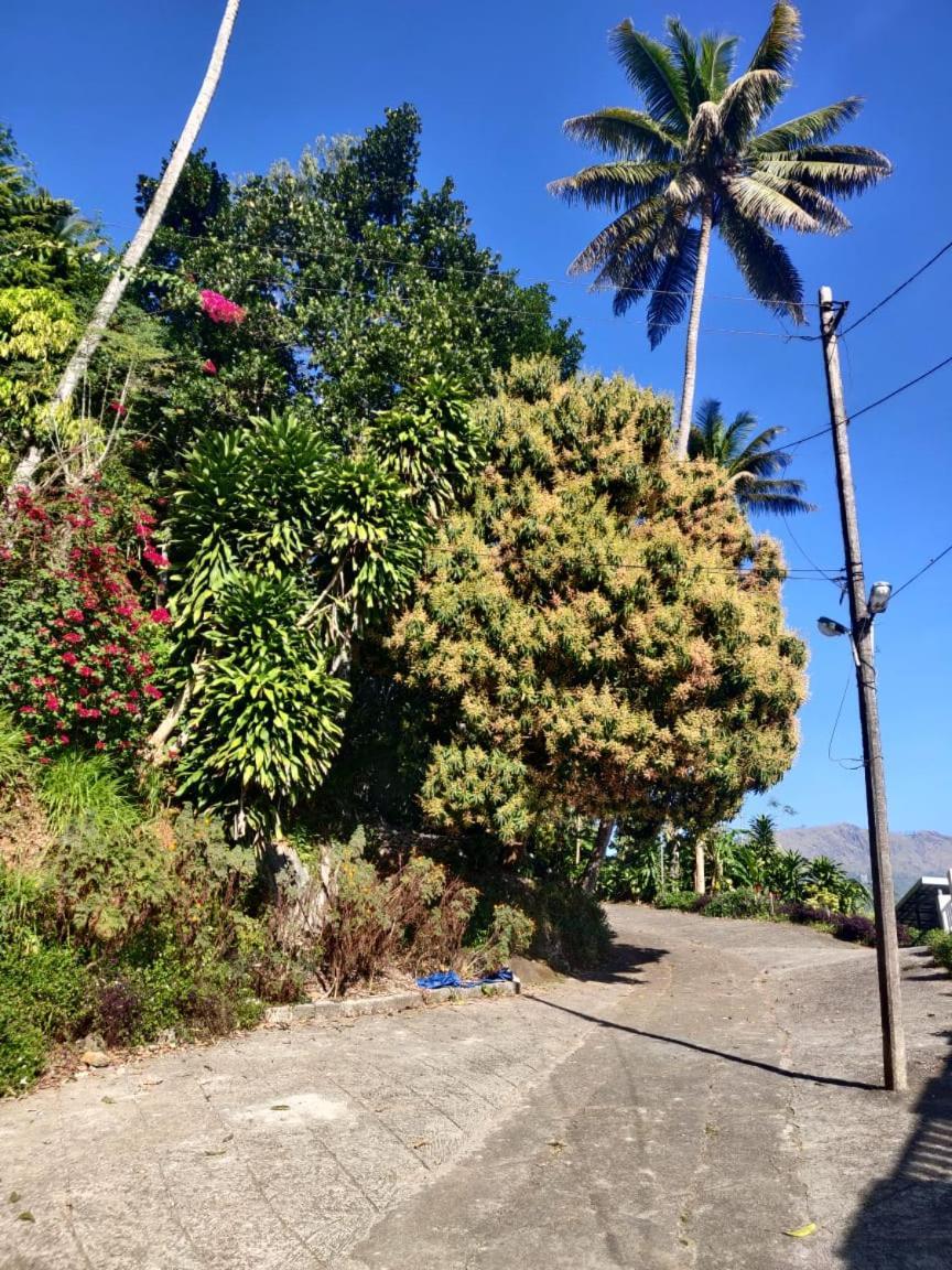 M3 Homes Munnar