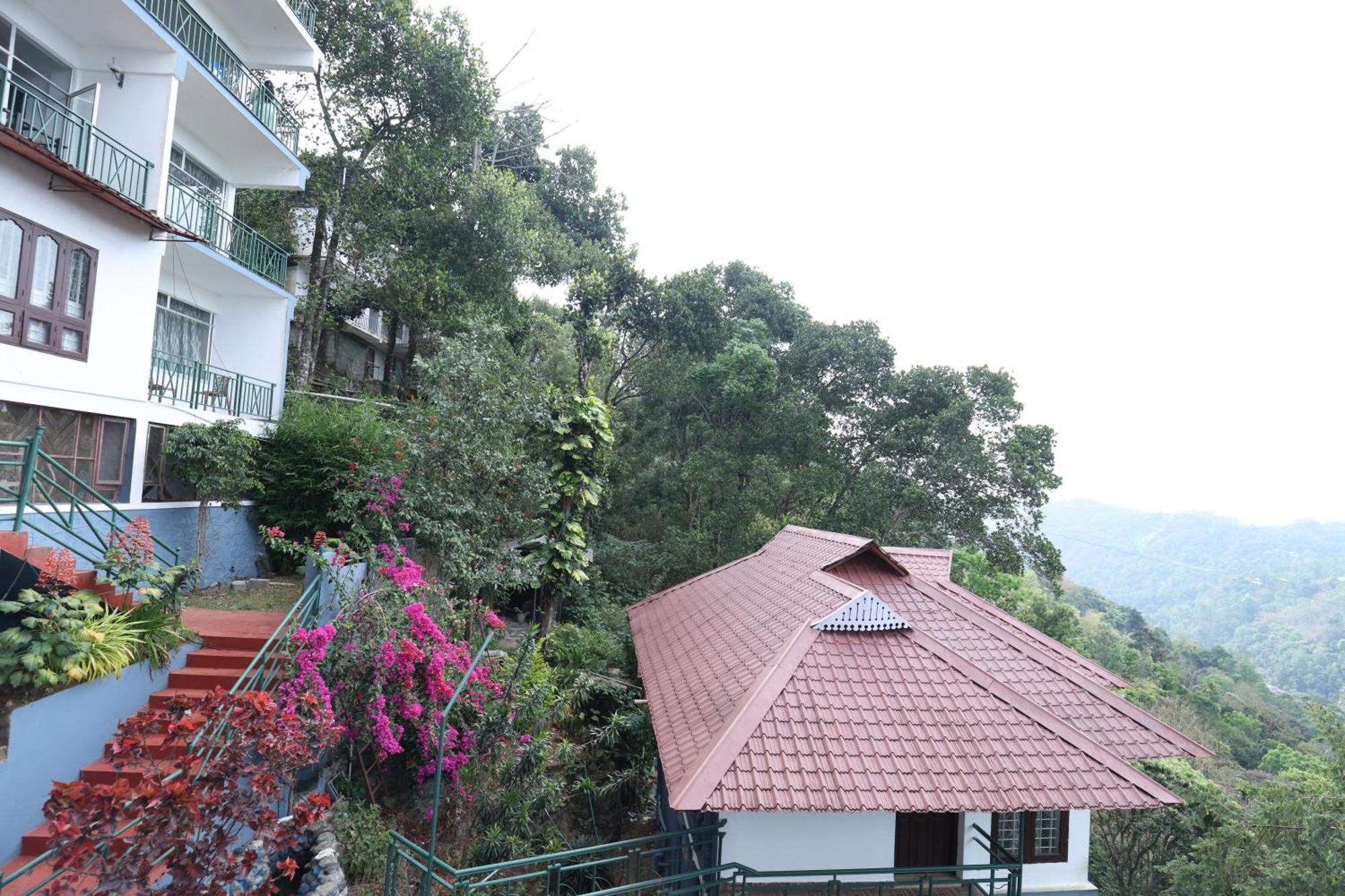 Lazo Golden Valley , 2*