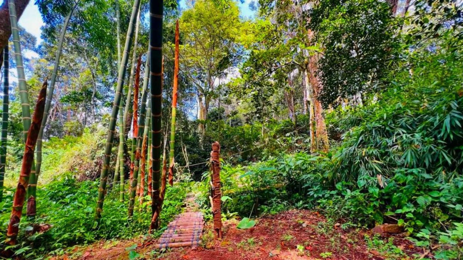 Resort Bamboo Dale Resort,
