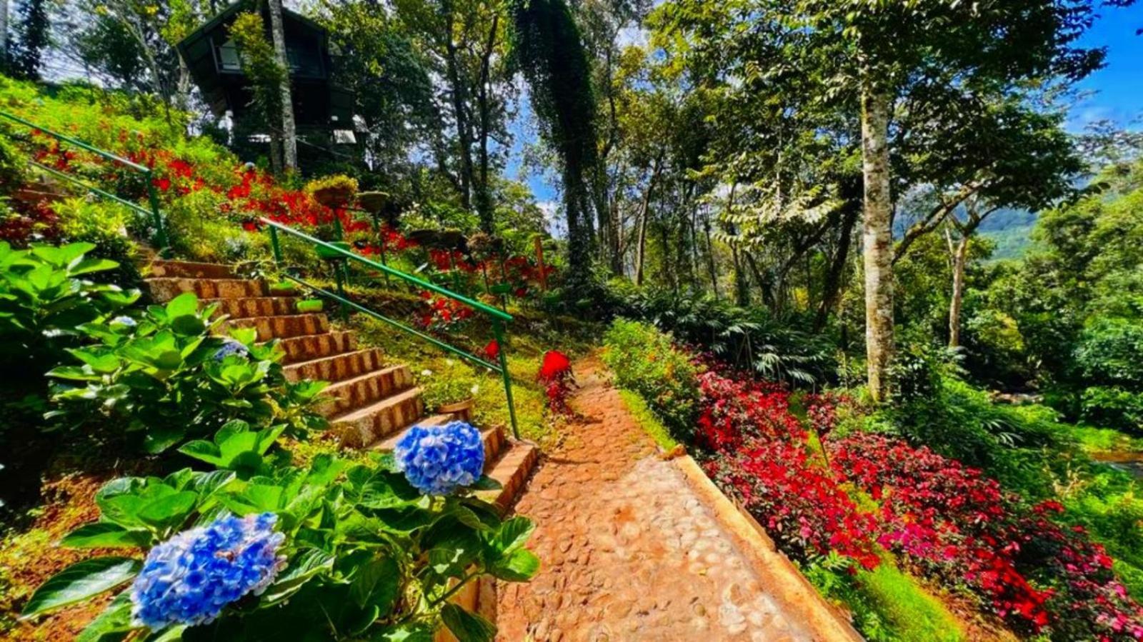 Bamboo Dale Resort, Resort 2*