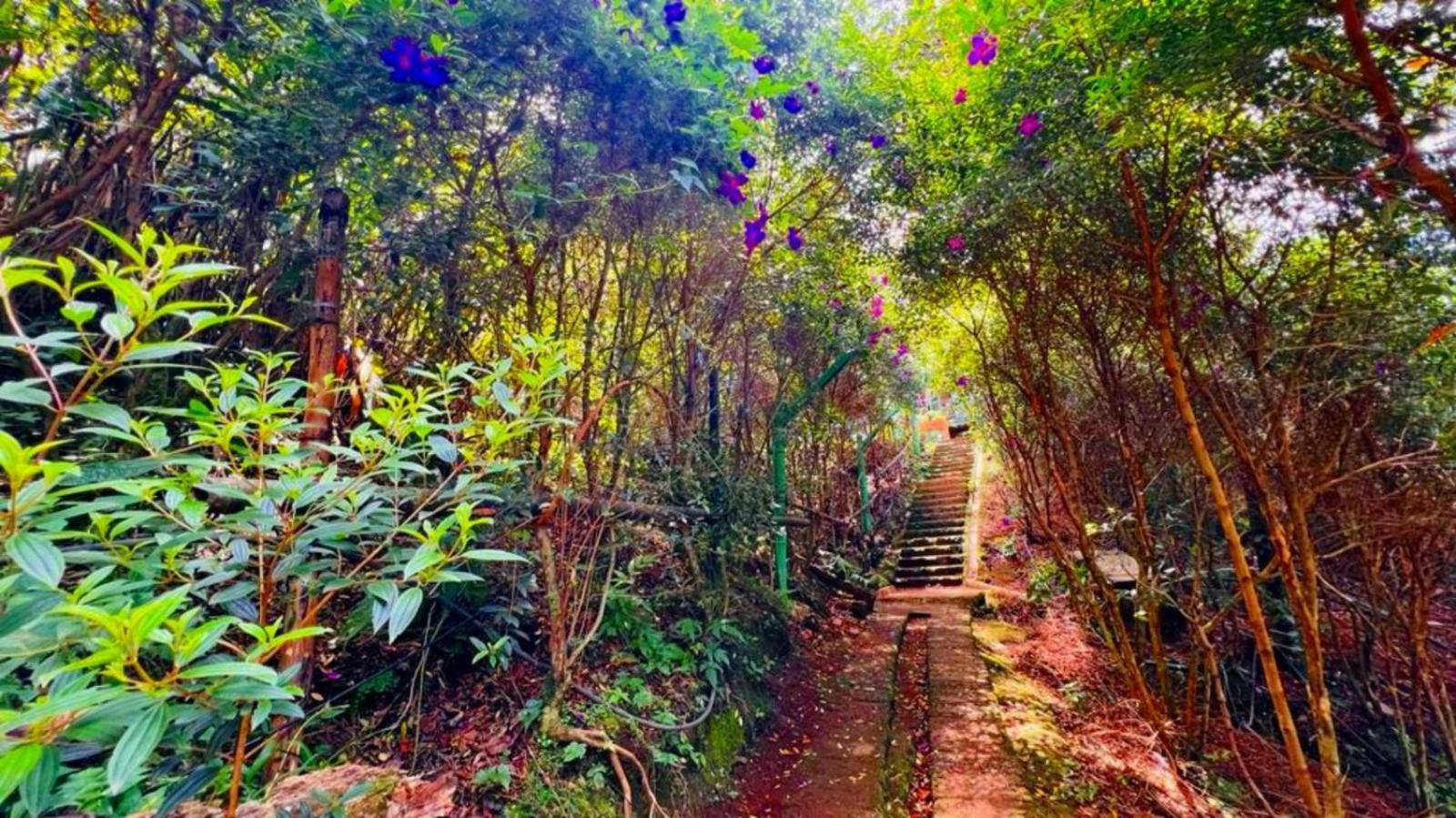 Bamboo Dale Resort, Resort Munnar